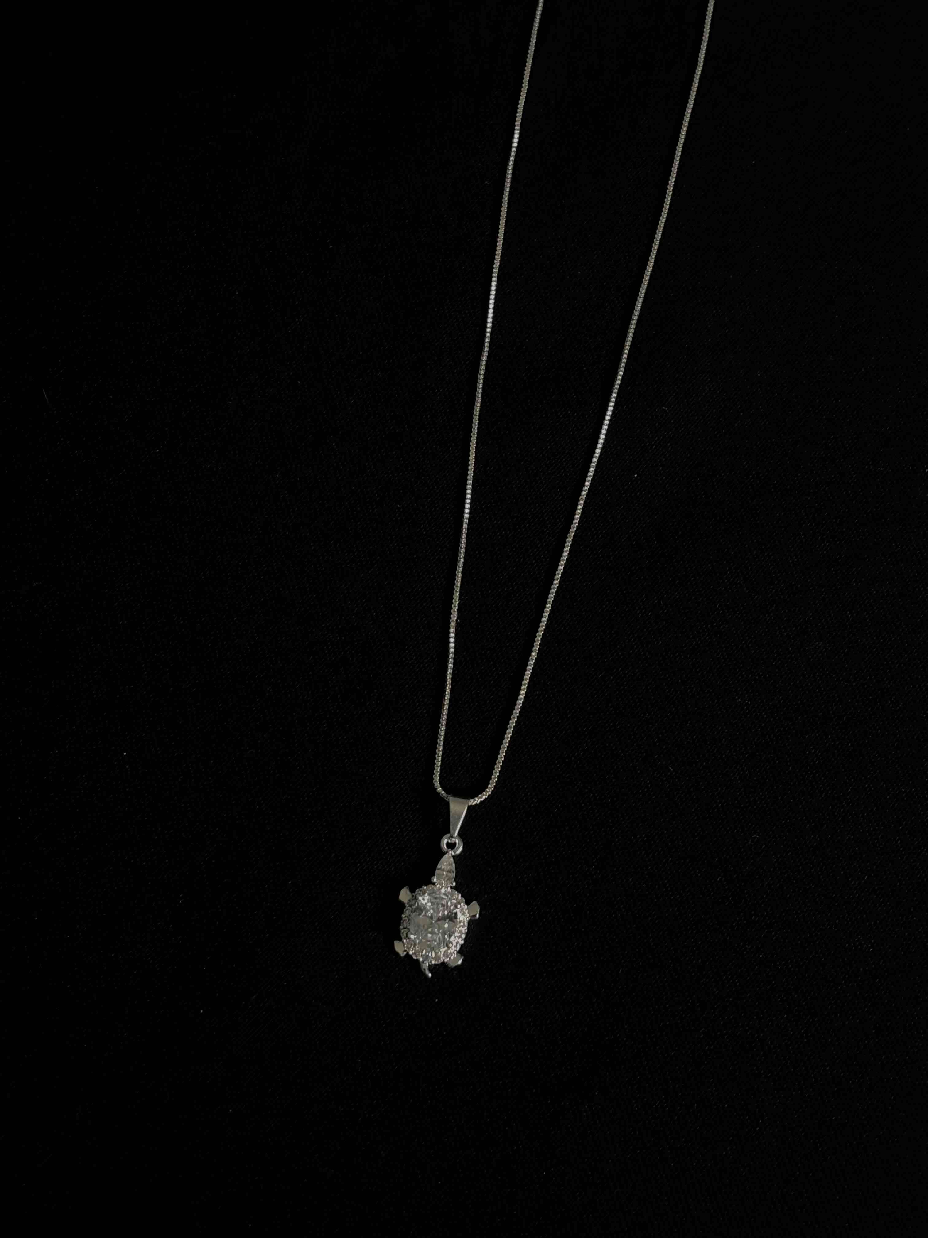 Collar de Plata con dije de tortuga - 2