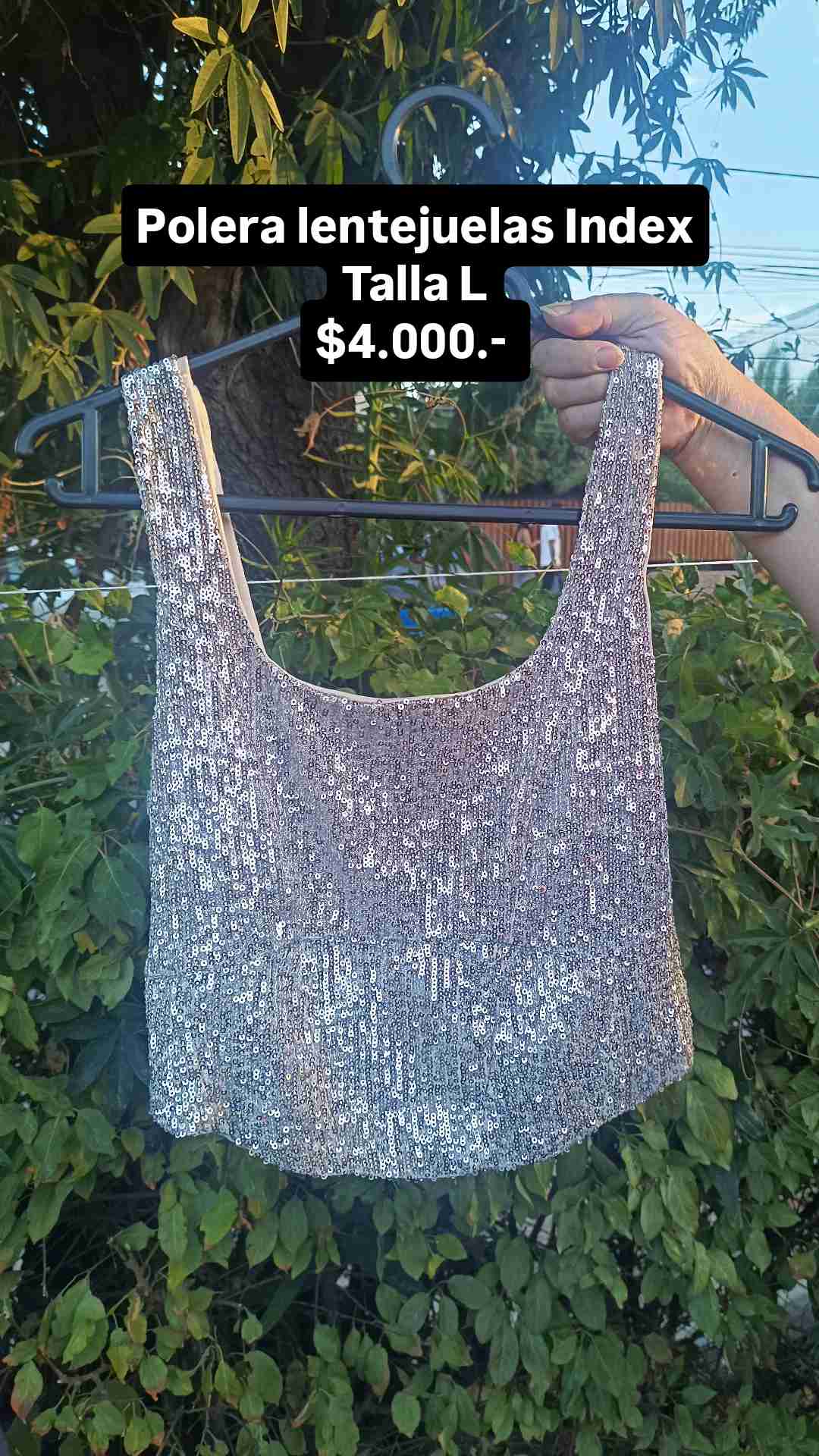 Polera lentejuelas plateada Index