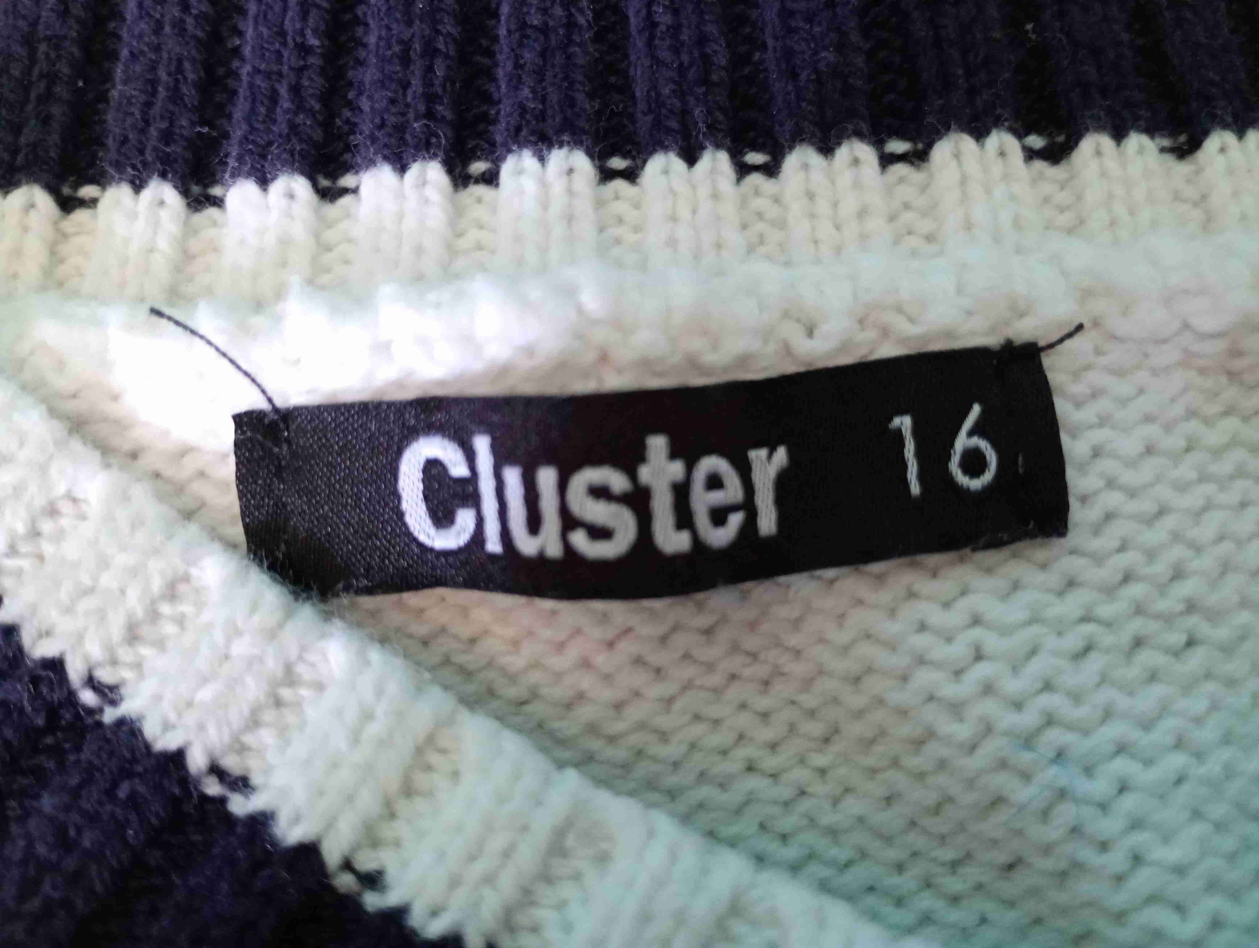 Polerón Varsity Brooklyn – Marca Cluster Talla 16 - miniatura 4