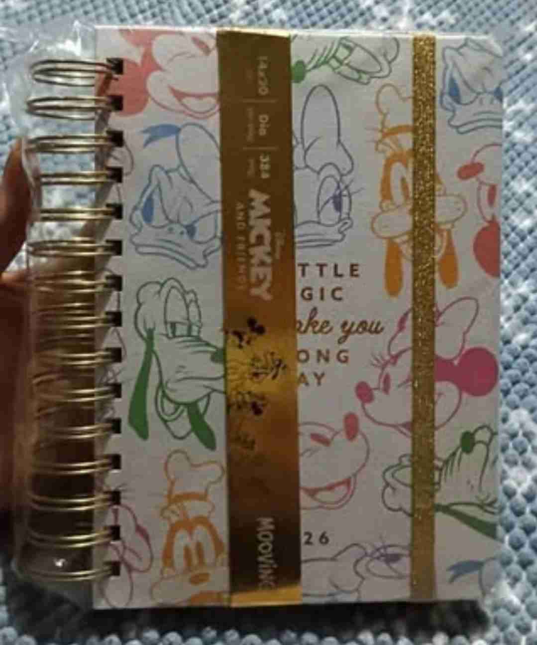 Agenda Mickey Disney - 1