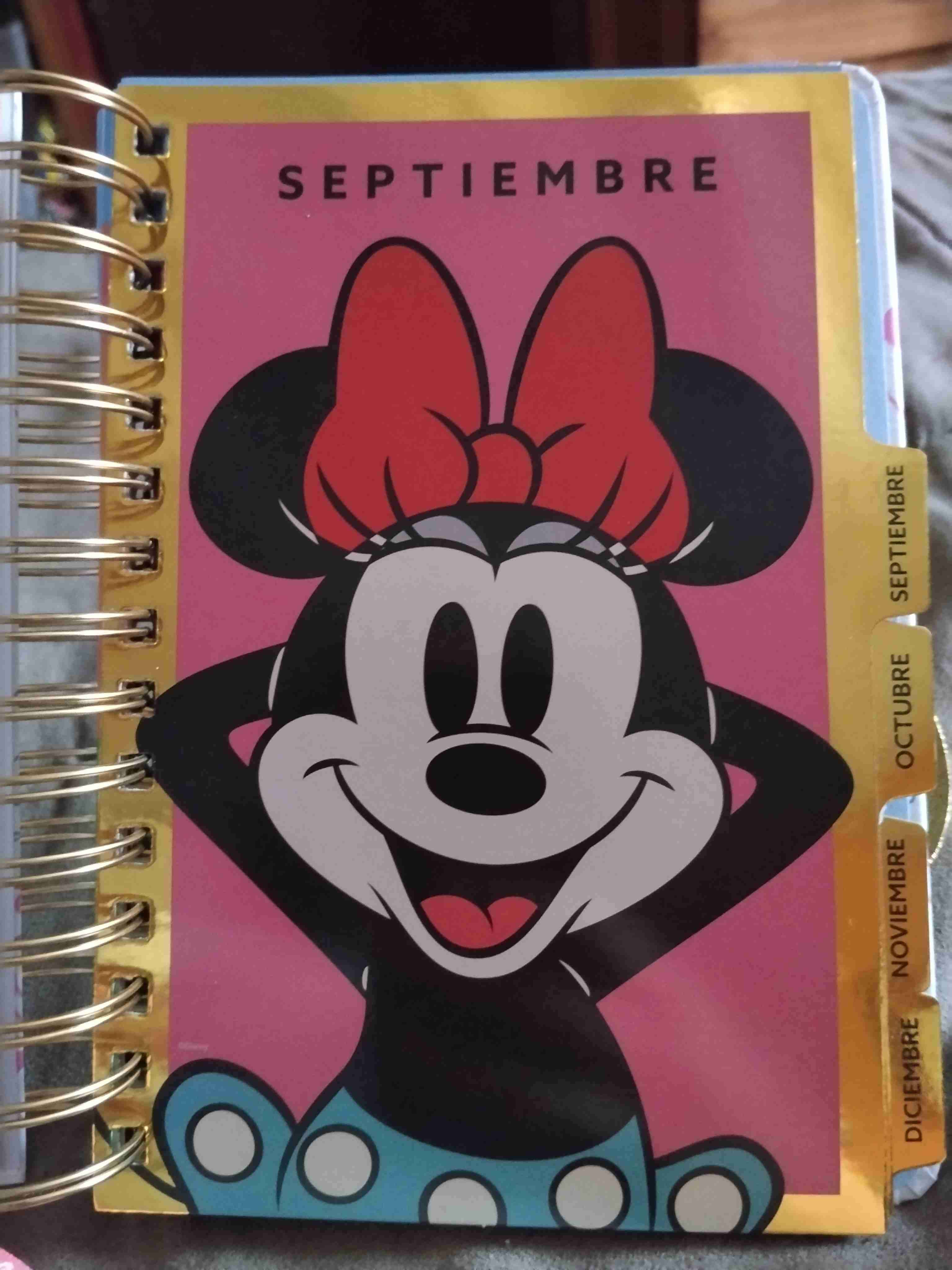 Agenda Mickey Disney - 5