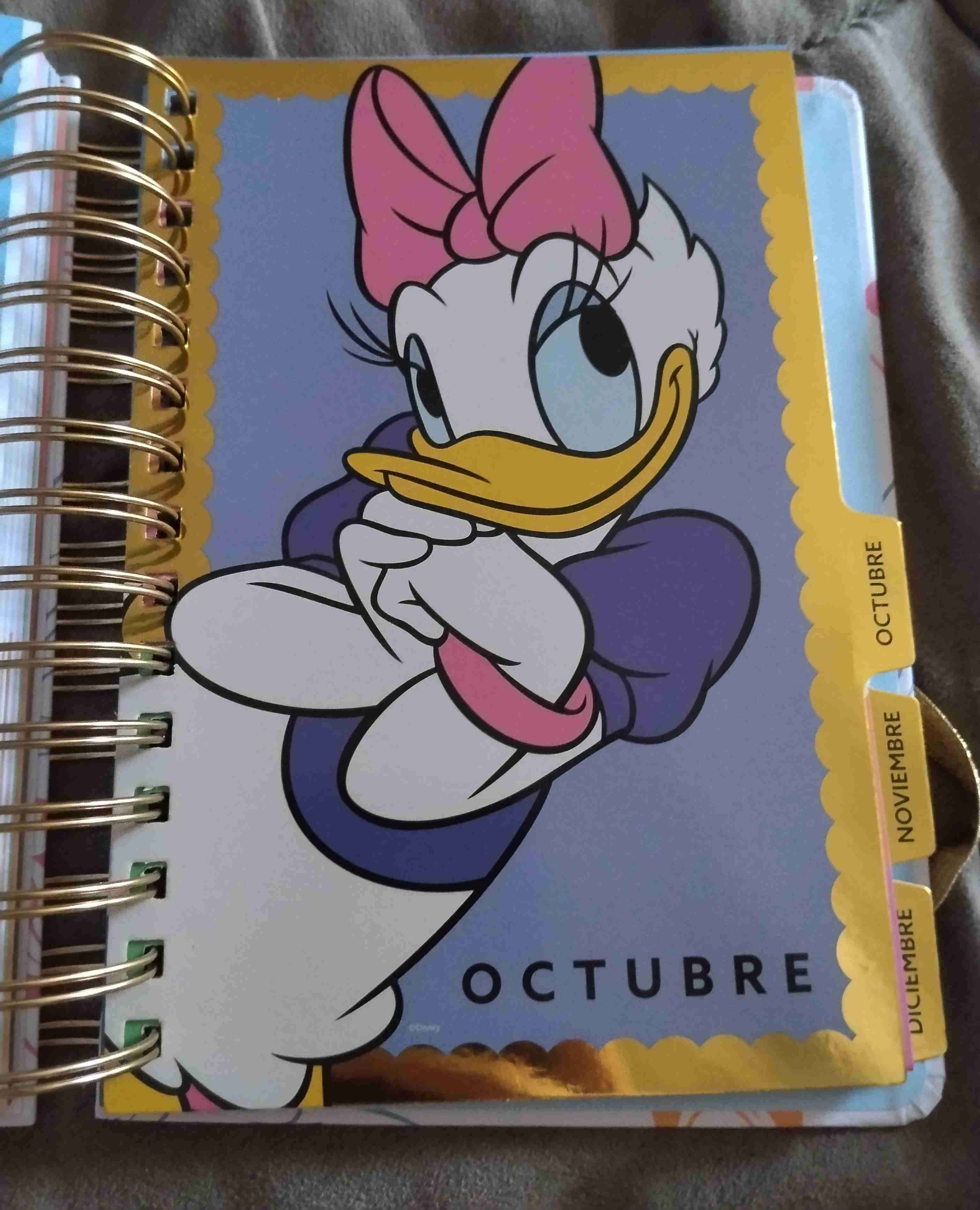 Agenda Mickey Disney - 6