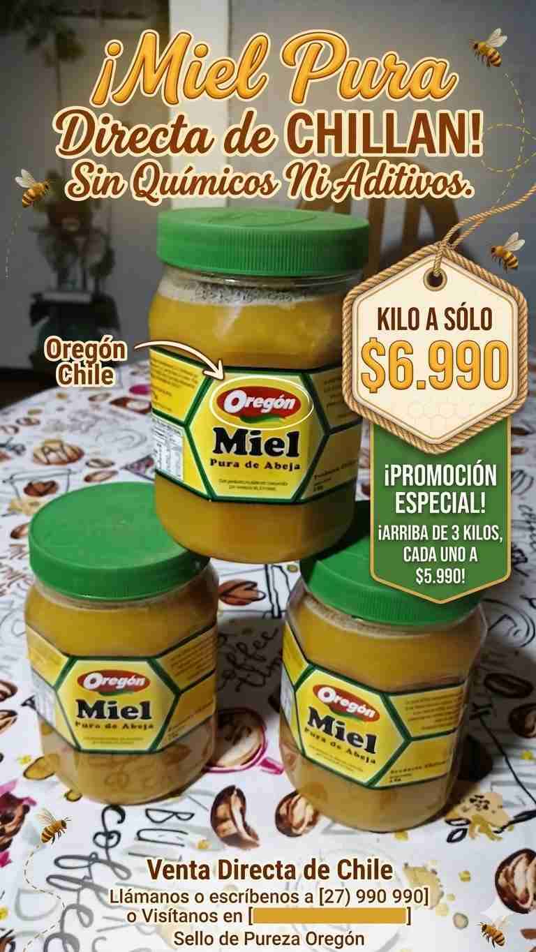 Miel pura de Chillán 1kg - 1