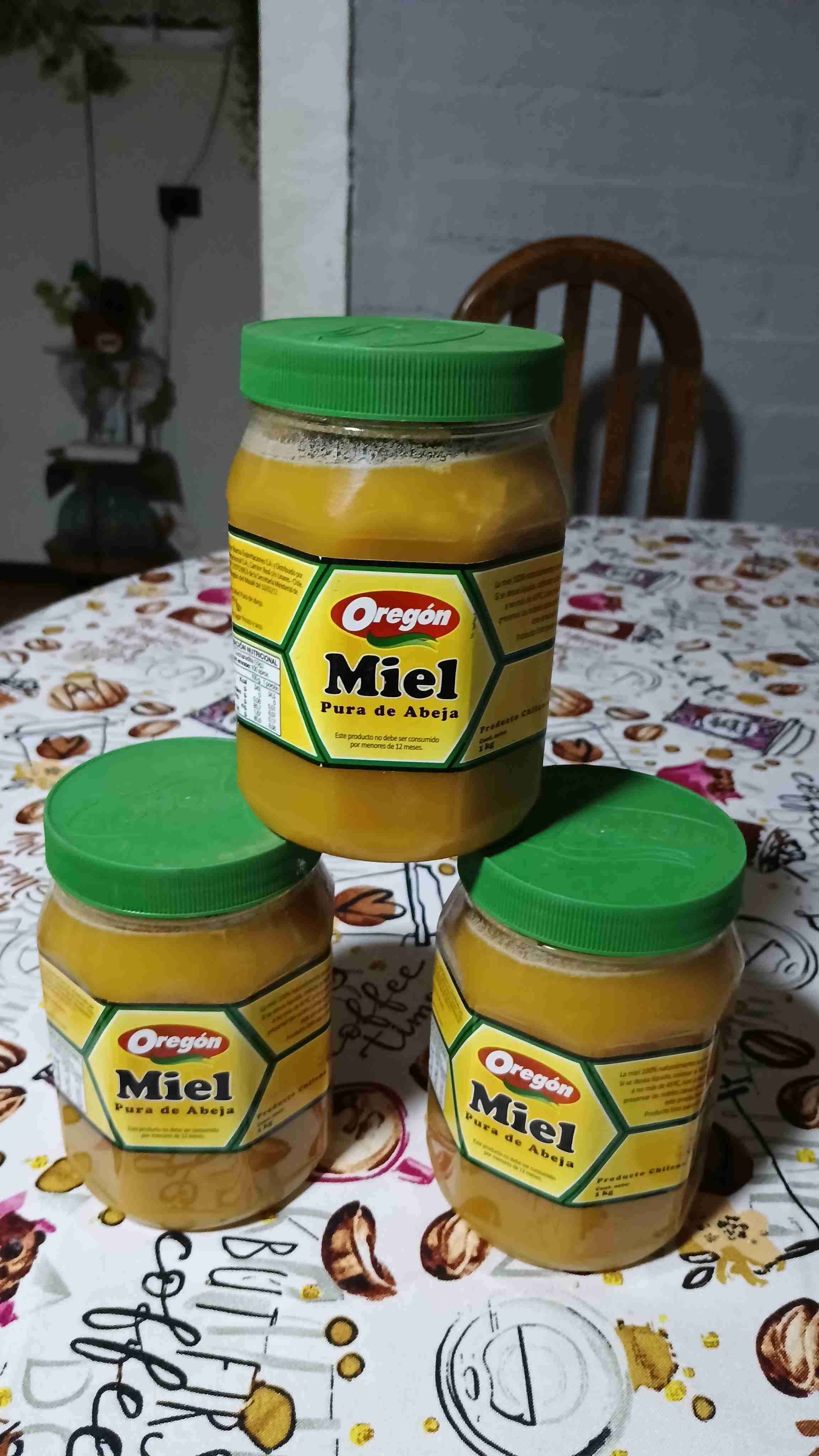 Miel pura de Chillán 1kg - 2