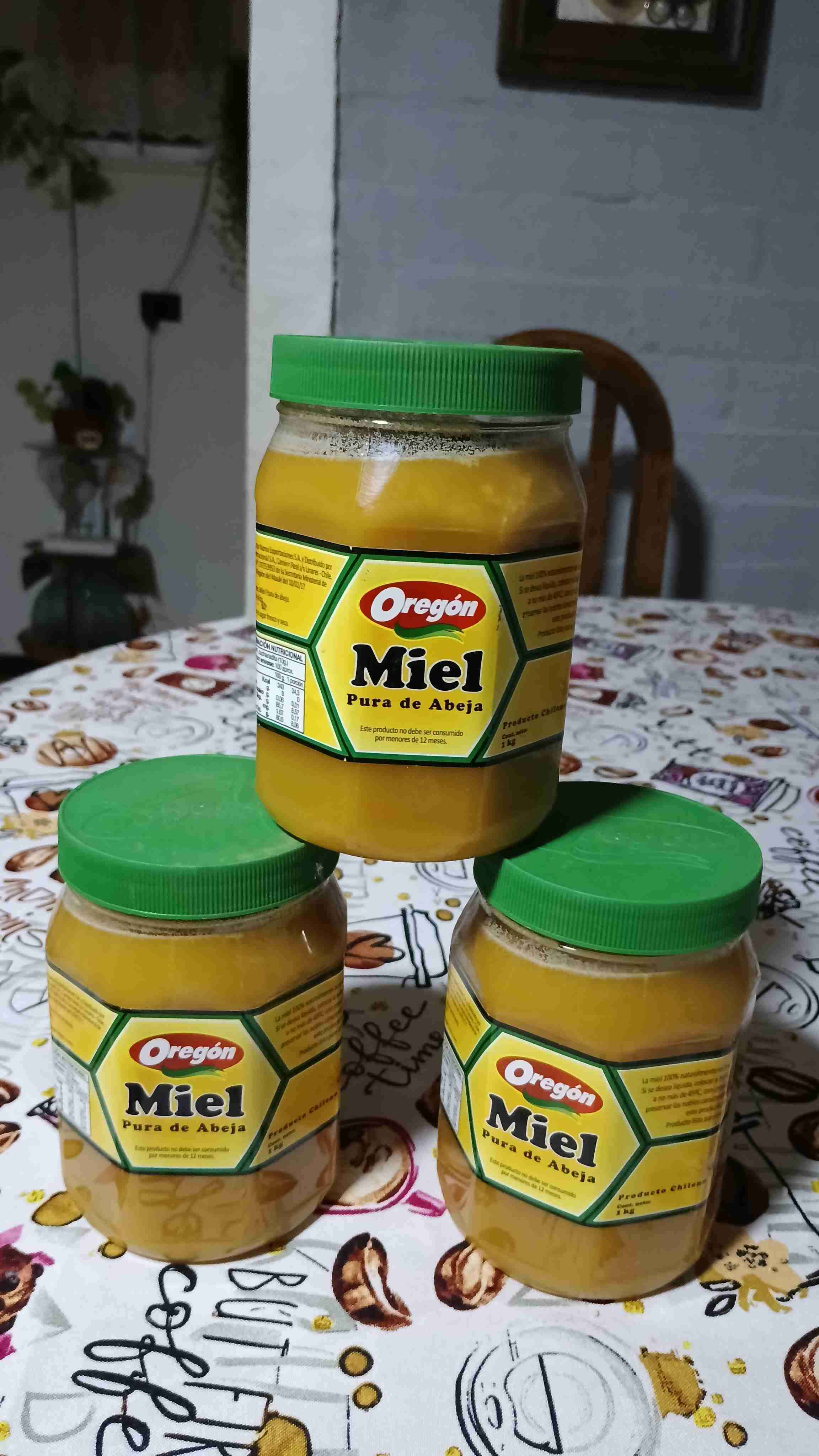 Miel pura de Chillán 1kg - 3