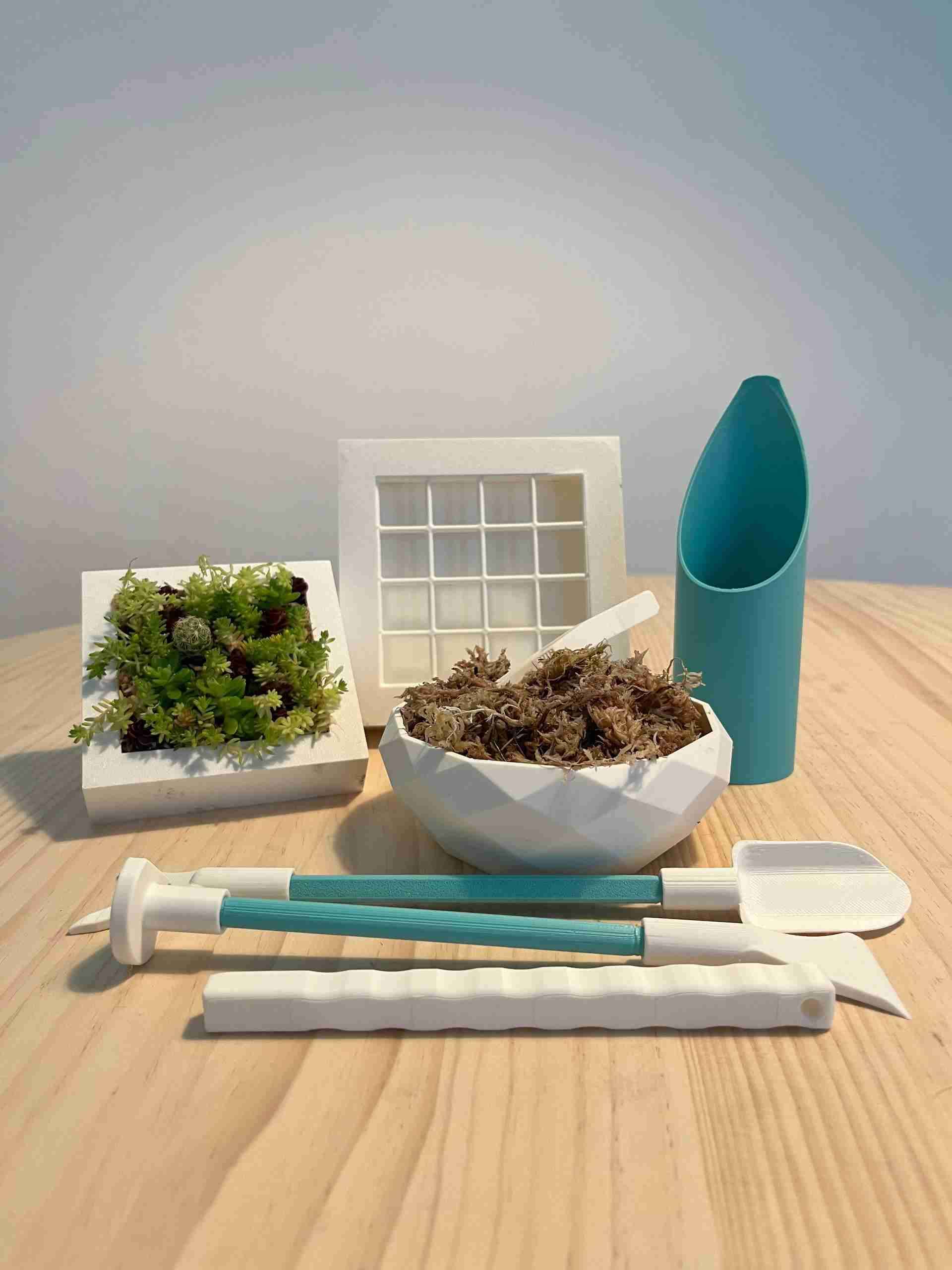 Kit para cuadros vivos de suculentas - miniatura 1