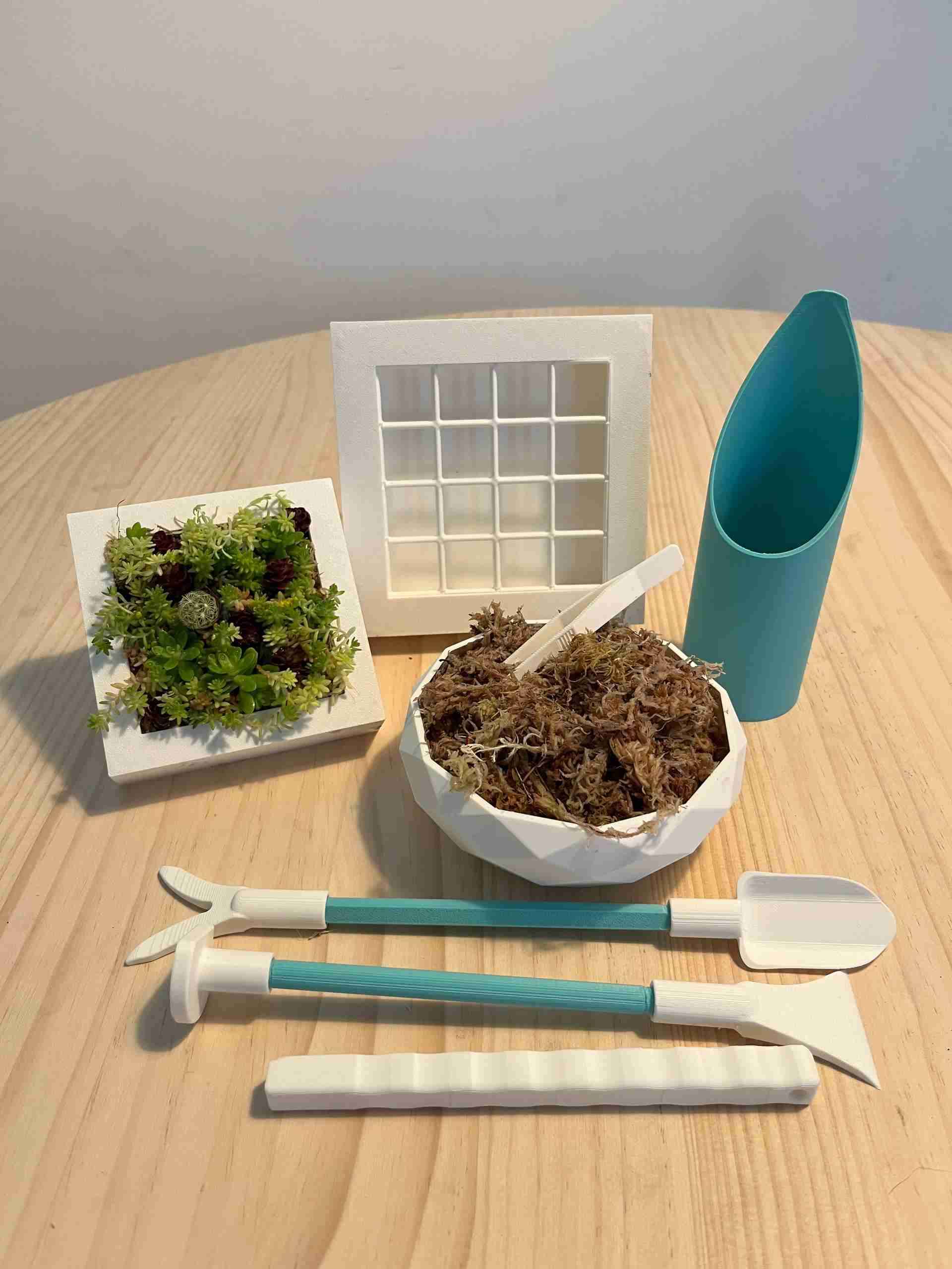 Kit para cuadros vivos de suculentas - miniatura 2