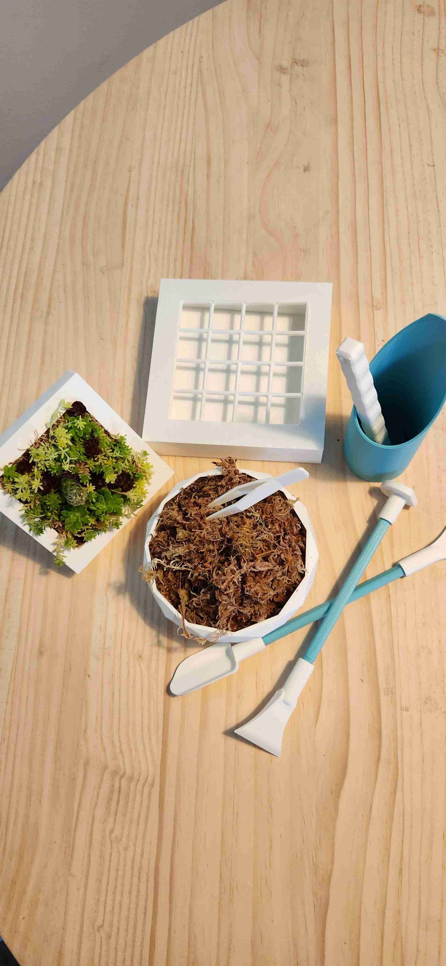 Kit para cuadros vivos de suculentas - miniatura 4