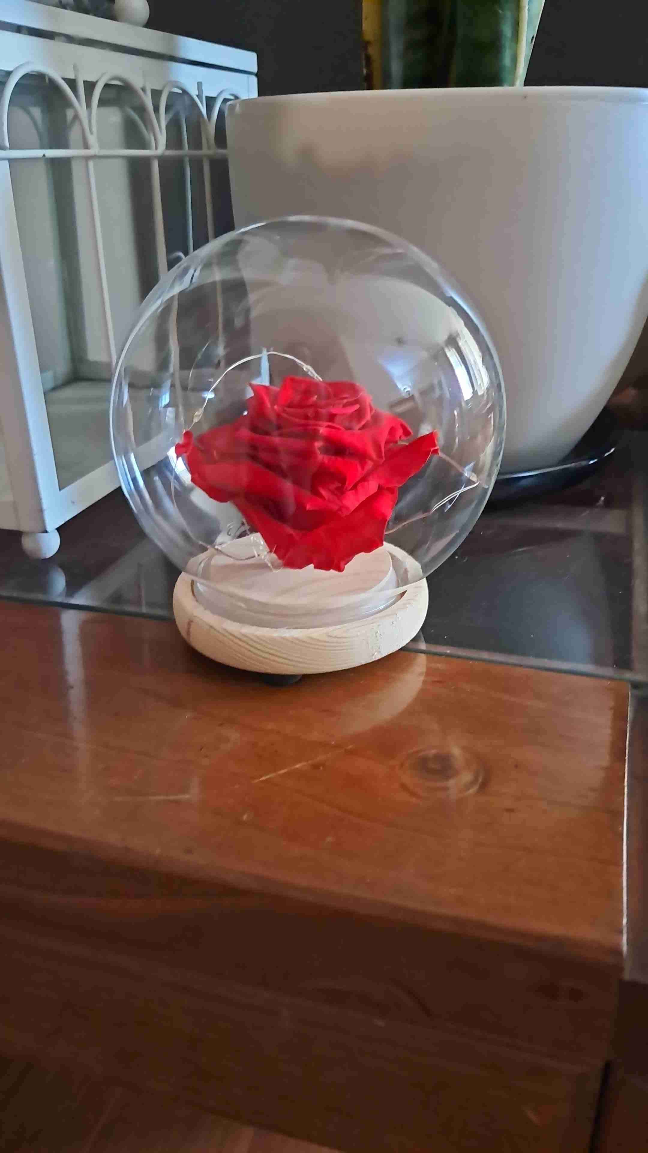 Rosa eterna en cúpula de vidrio