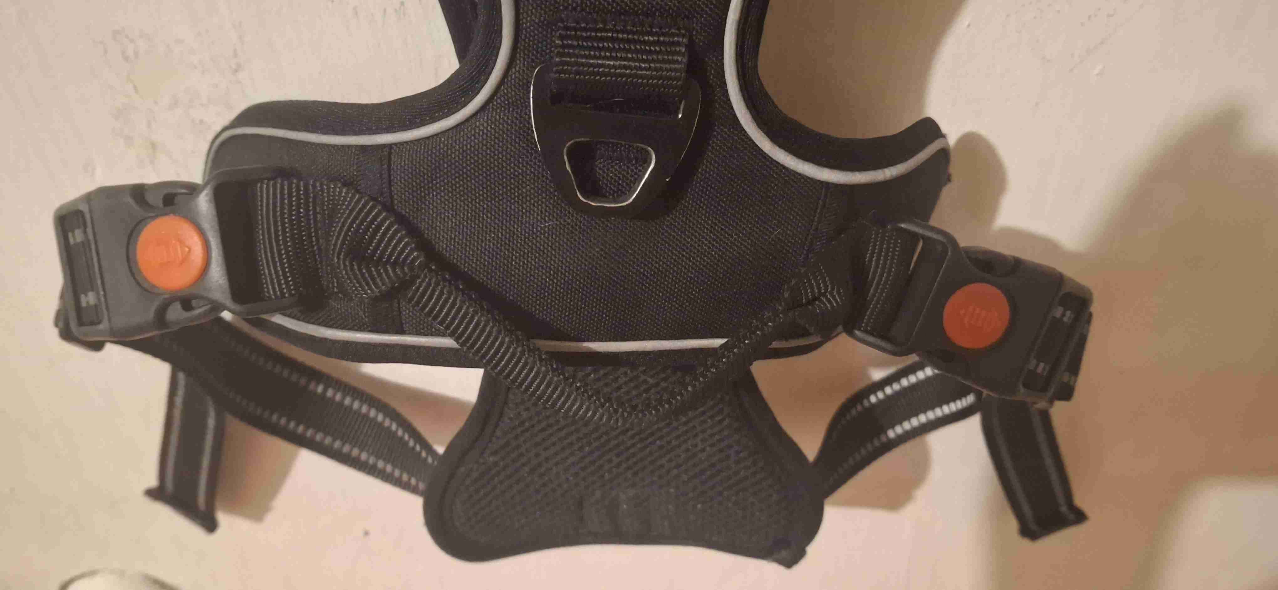 Arnés de perro 🐶 marca Club de perros y gatos - miniatura 2