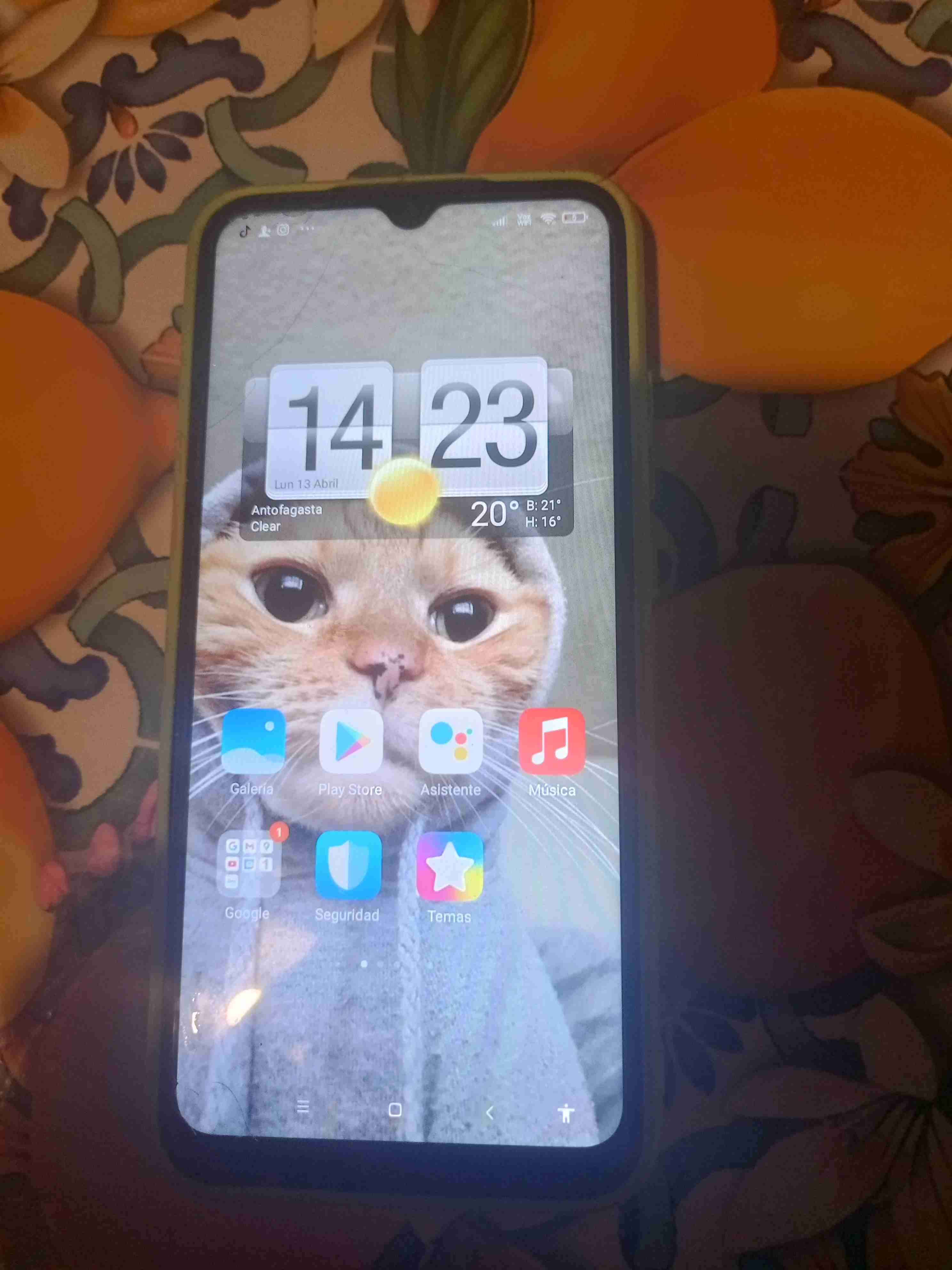 Redmi 9c funcionamiento 10 de 10 - miniatura 1