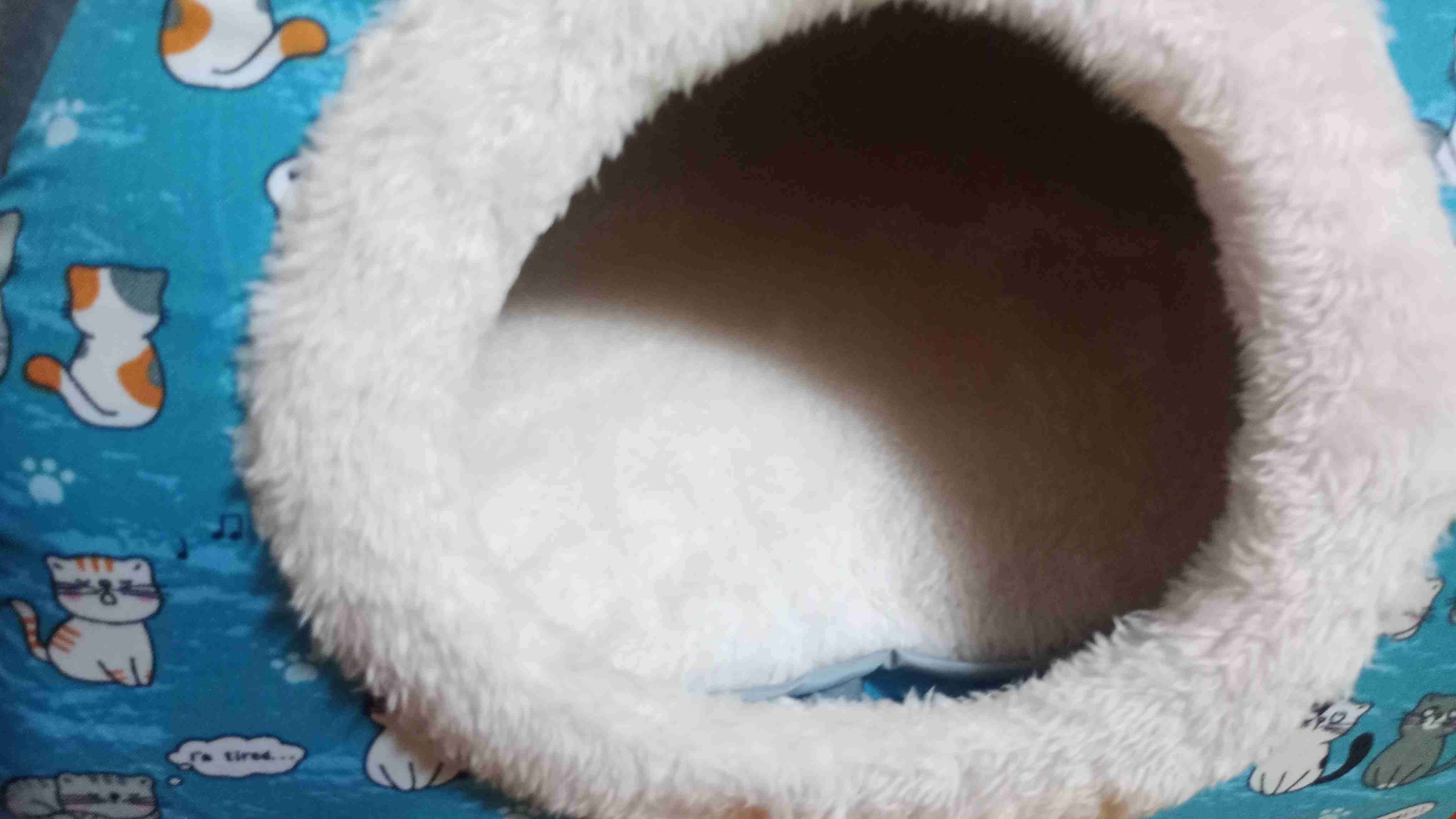 Casa para mascotas temática gato - miniatura 3