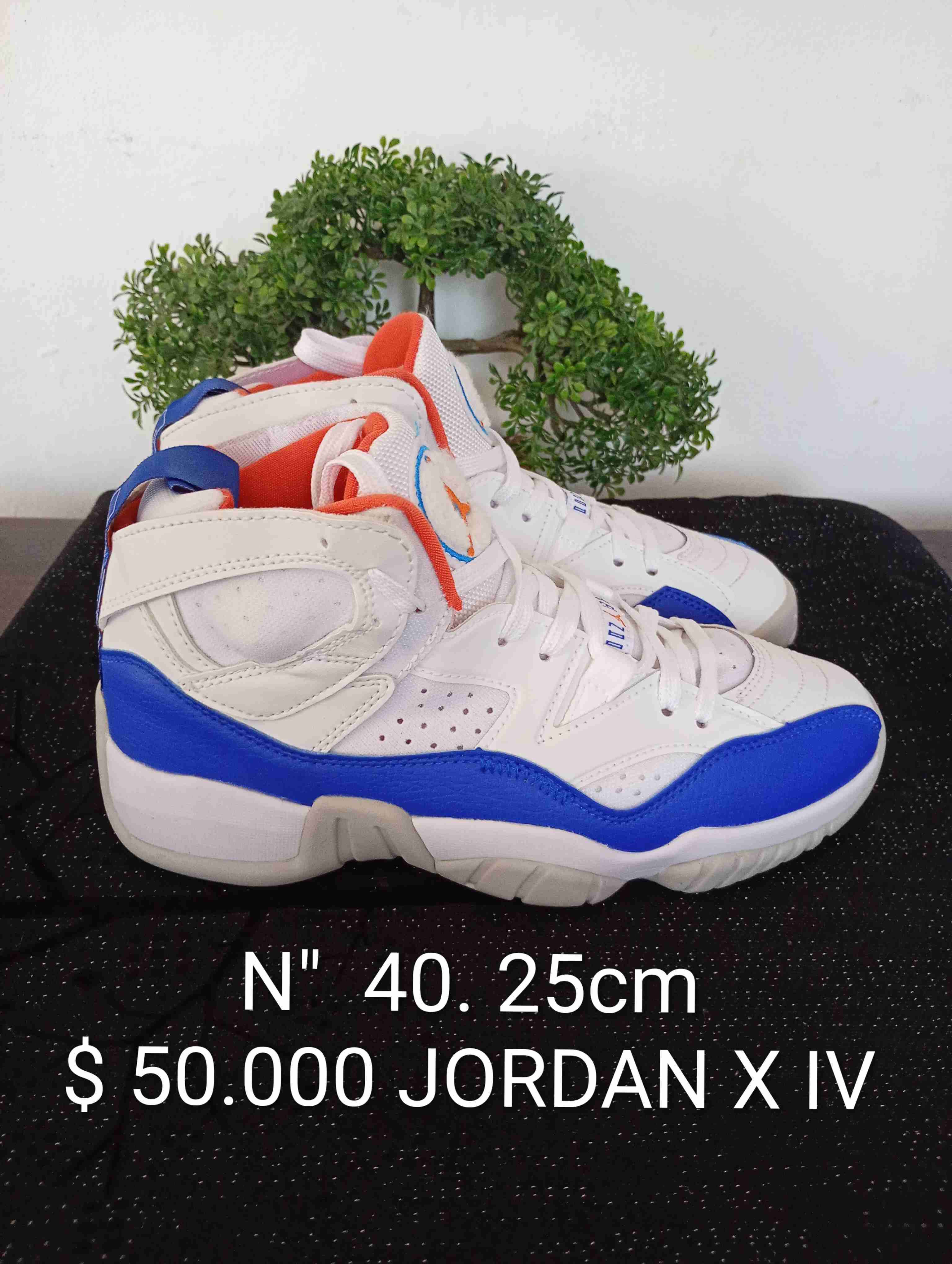 Zapatillas Jordan X IV blancas y azules - miniatura 1