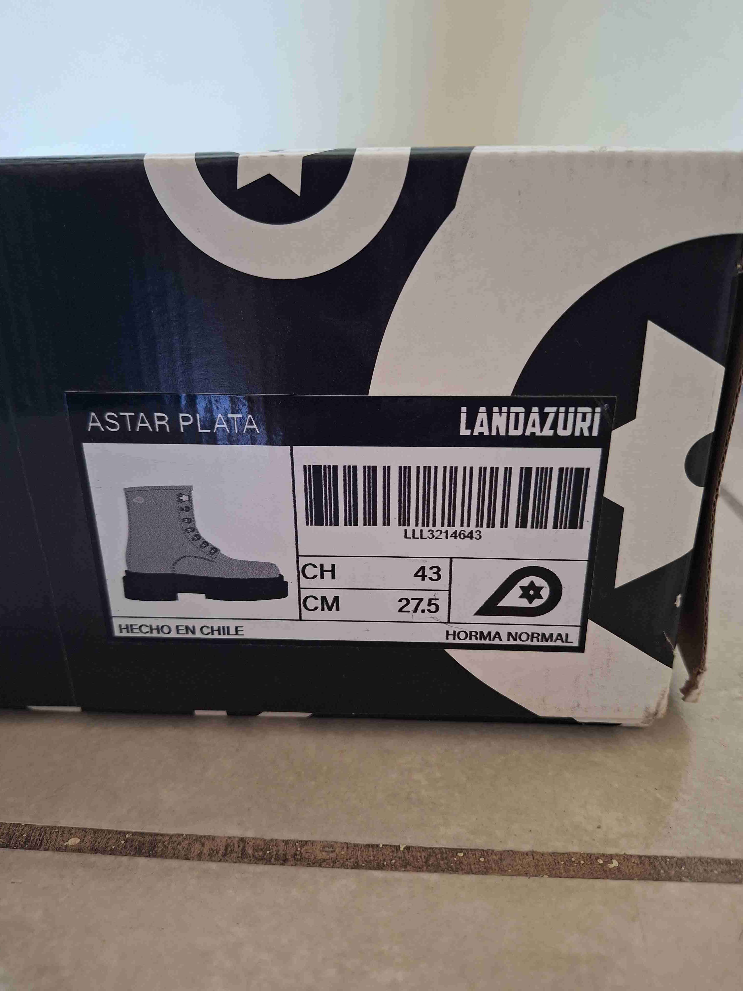 Botas plateadas de Landazuri - 2