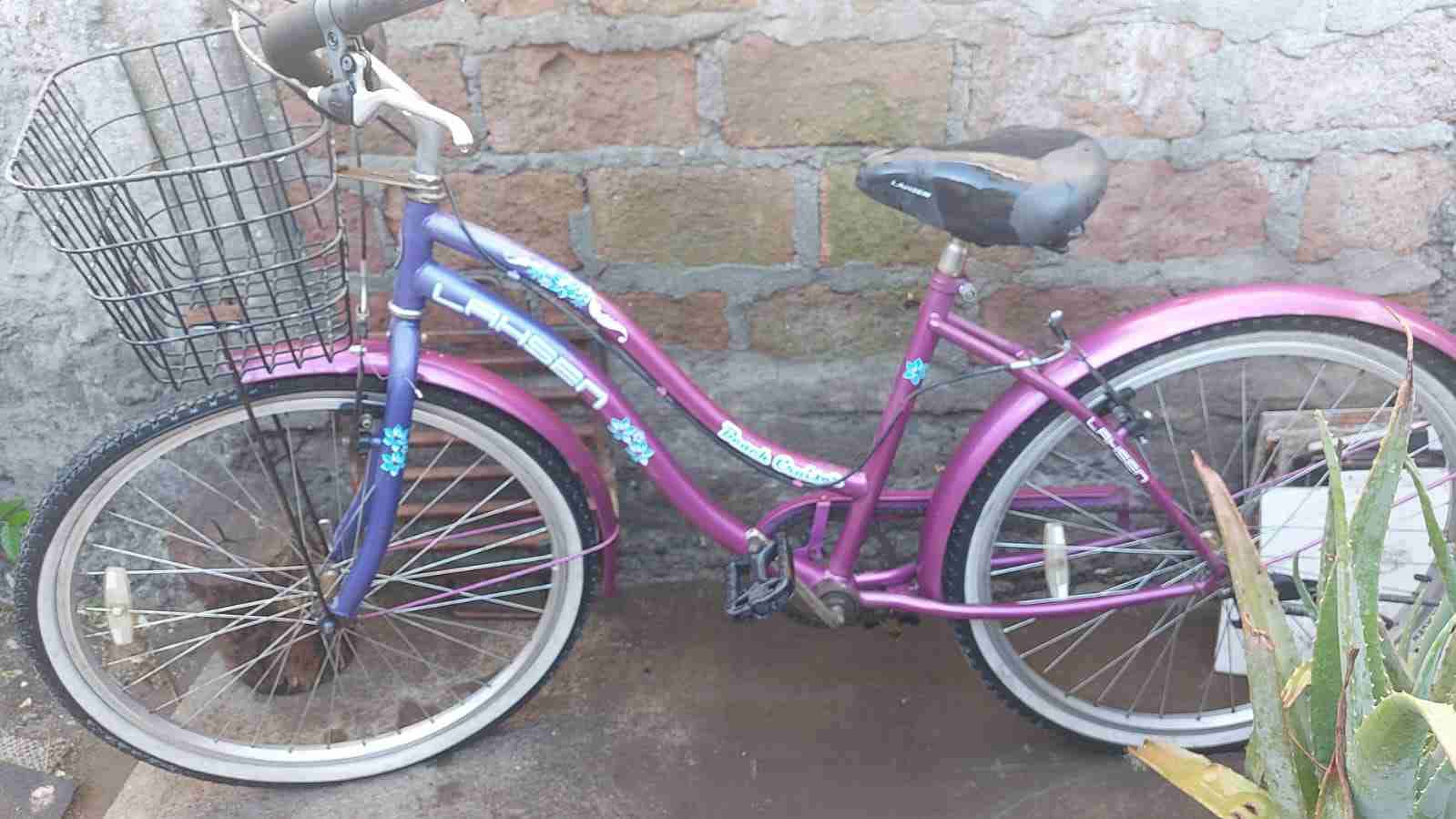 Bicicleta morada con canasto - 1