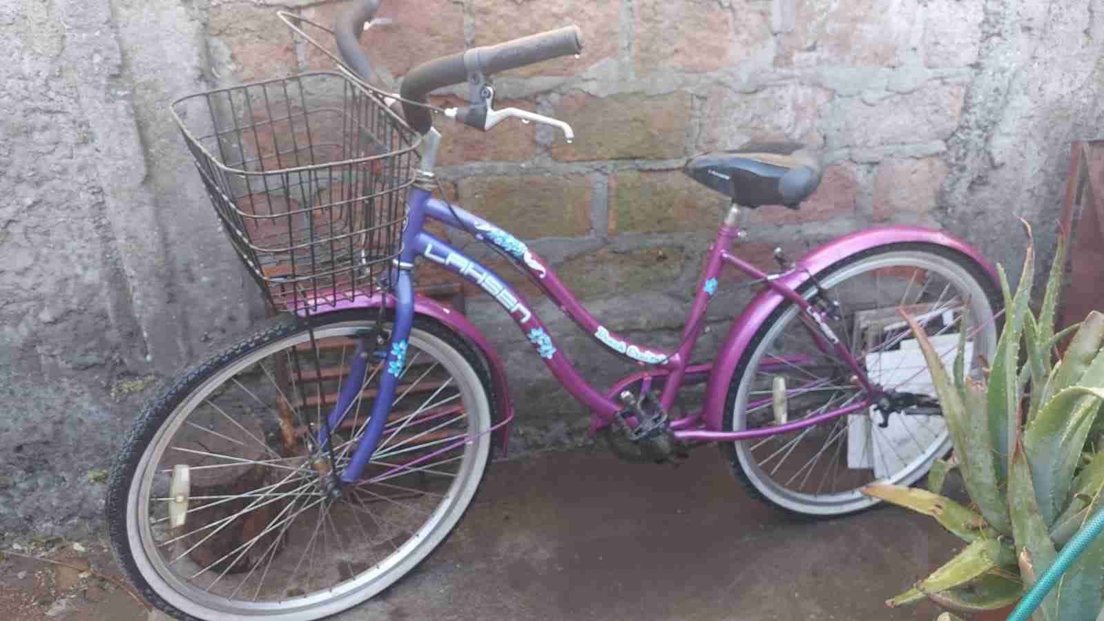 Bicicleta morada con canasto - 2