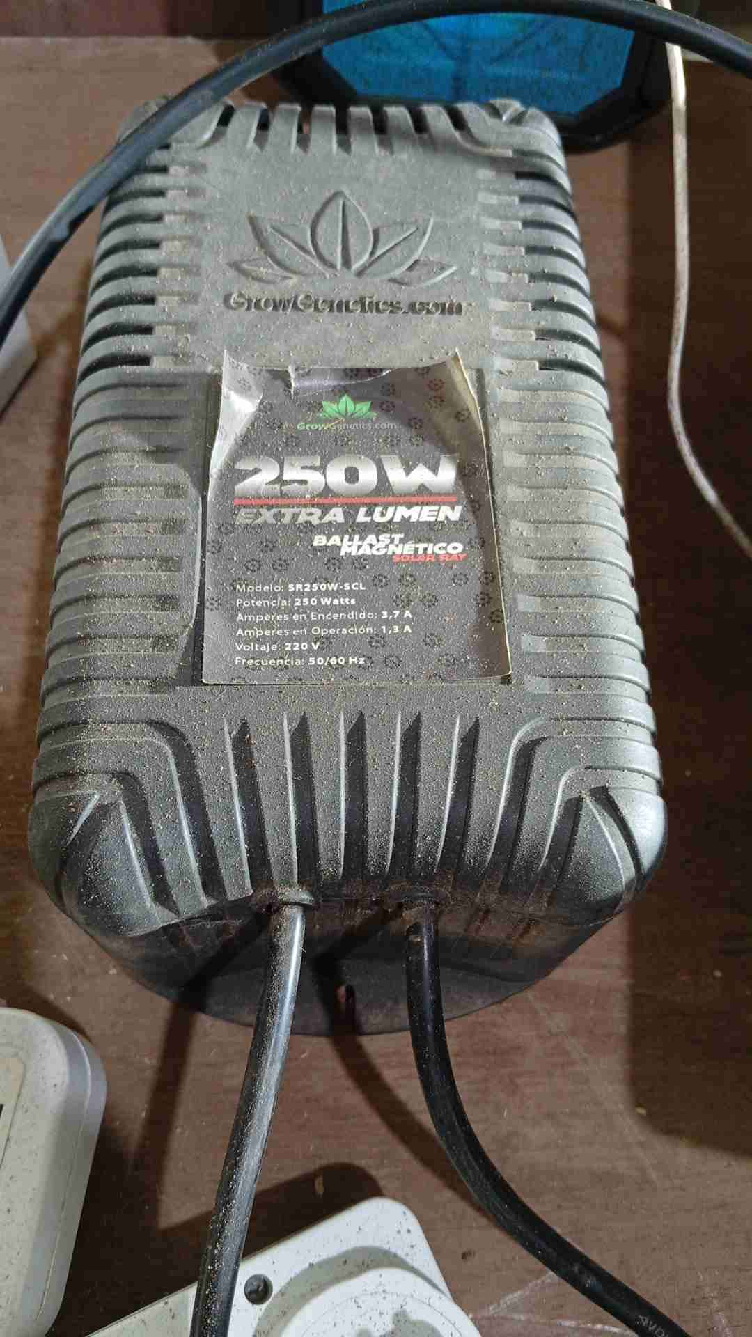 Carpa indoor para cultivo 80 CM x 80 CM x 160 cm - 3