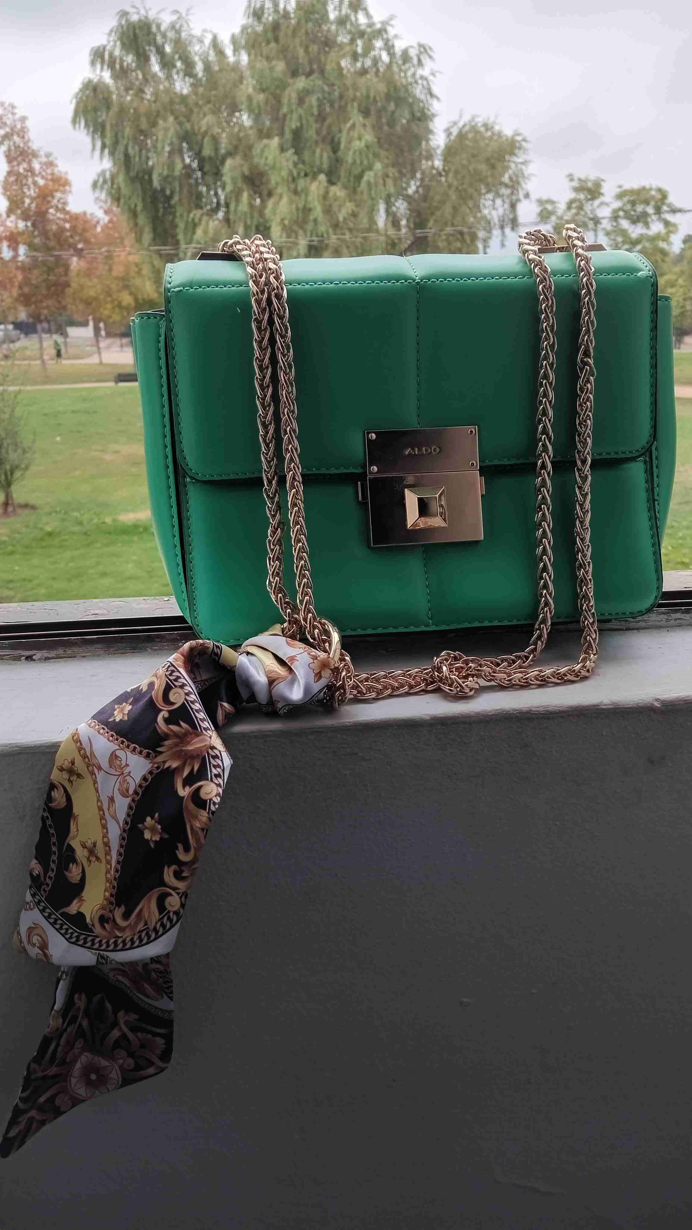 Cartera verde ALDO con cadena - 1