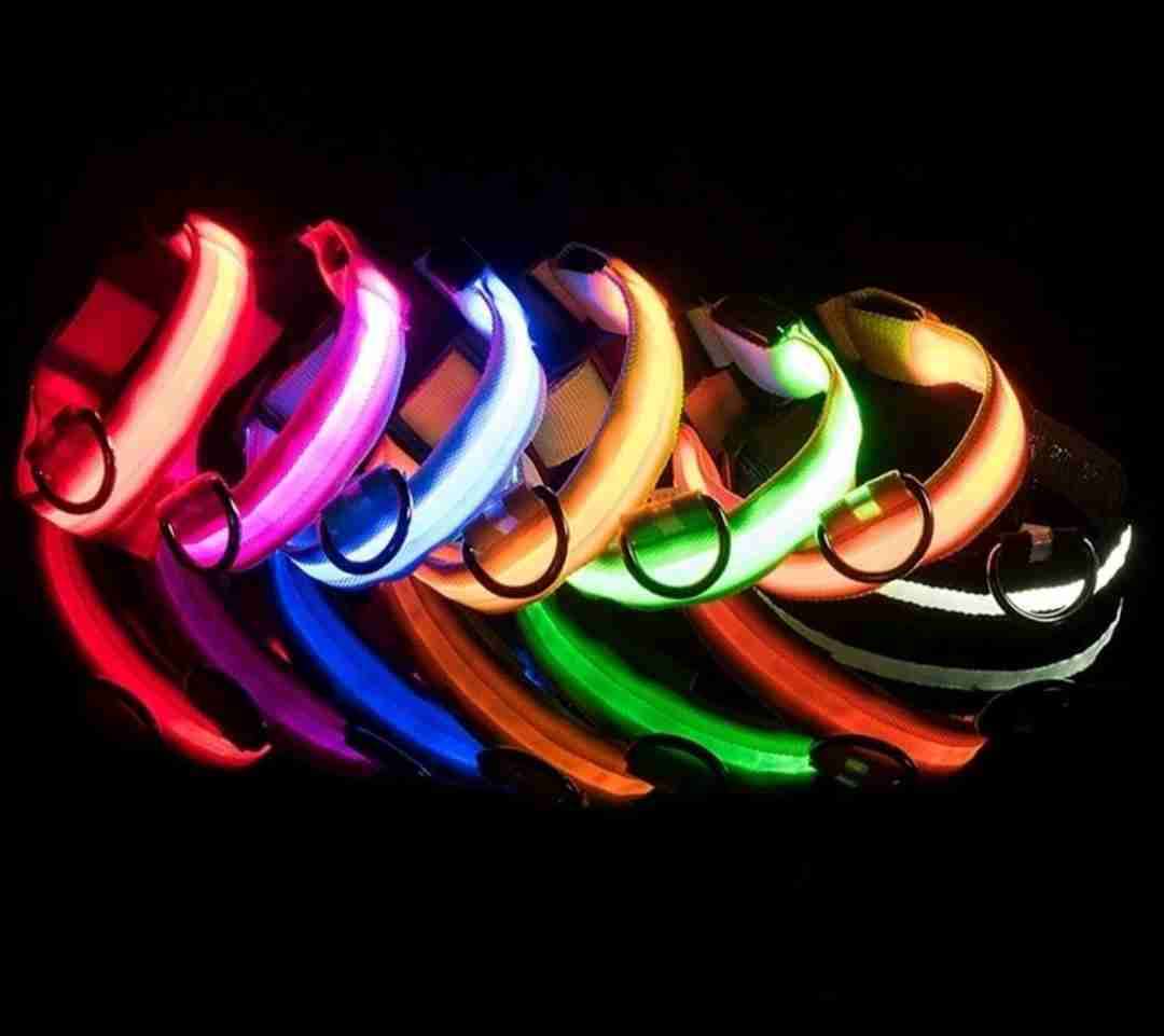 Collares LED para mascotas - 1