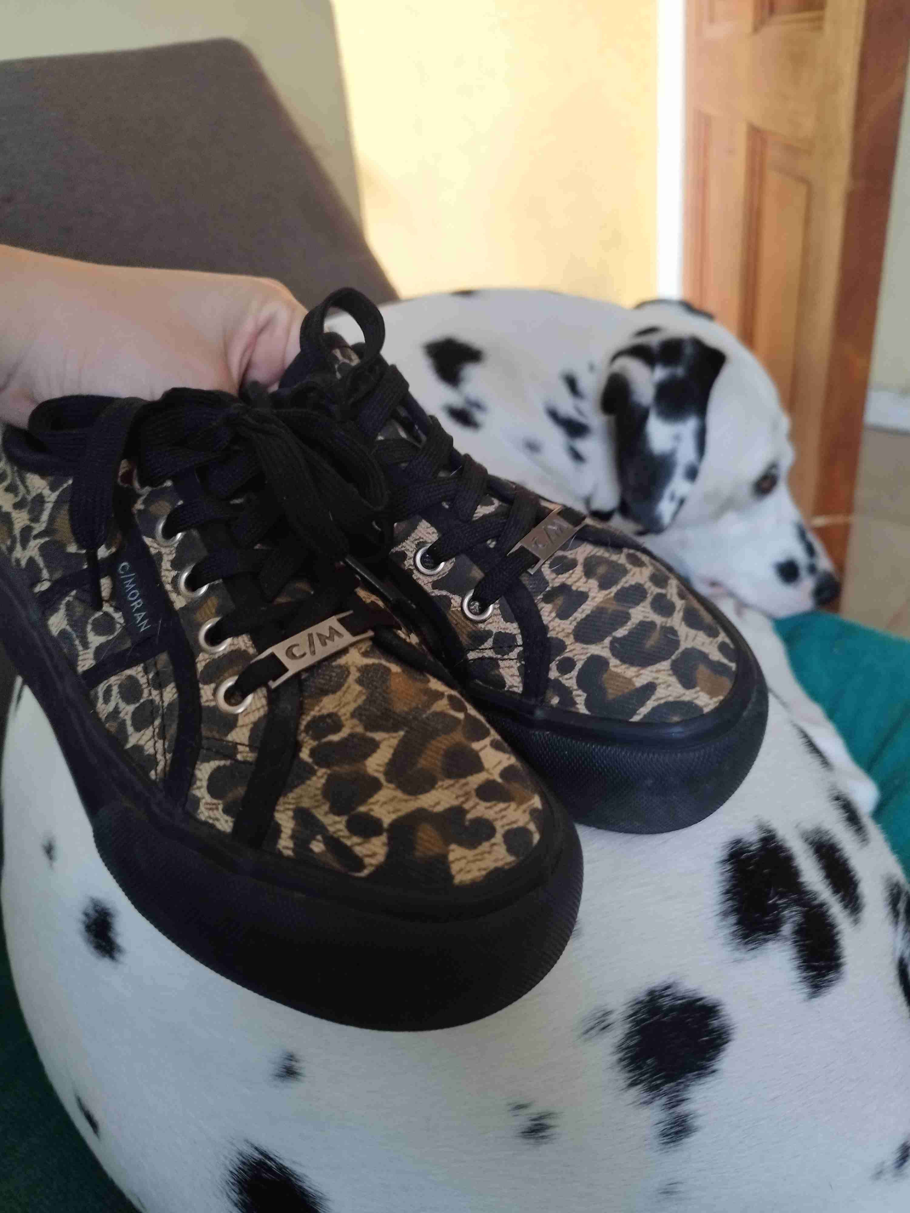 Zapatillas Cmoran animal print - 4