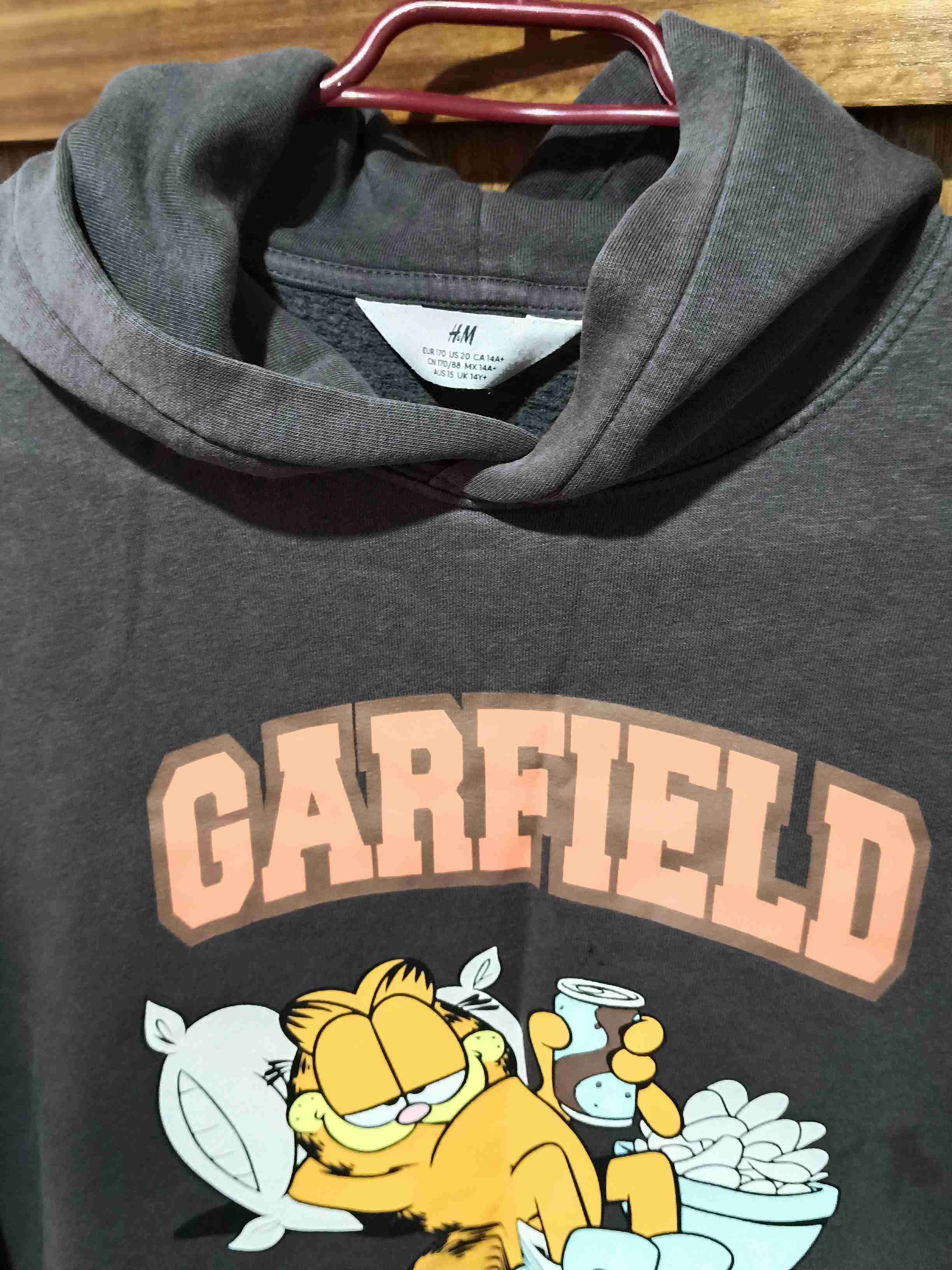 Polerón gris con capucha Garfield - miniatura 2
