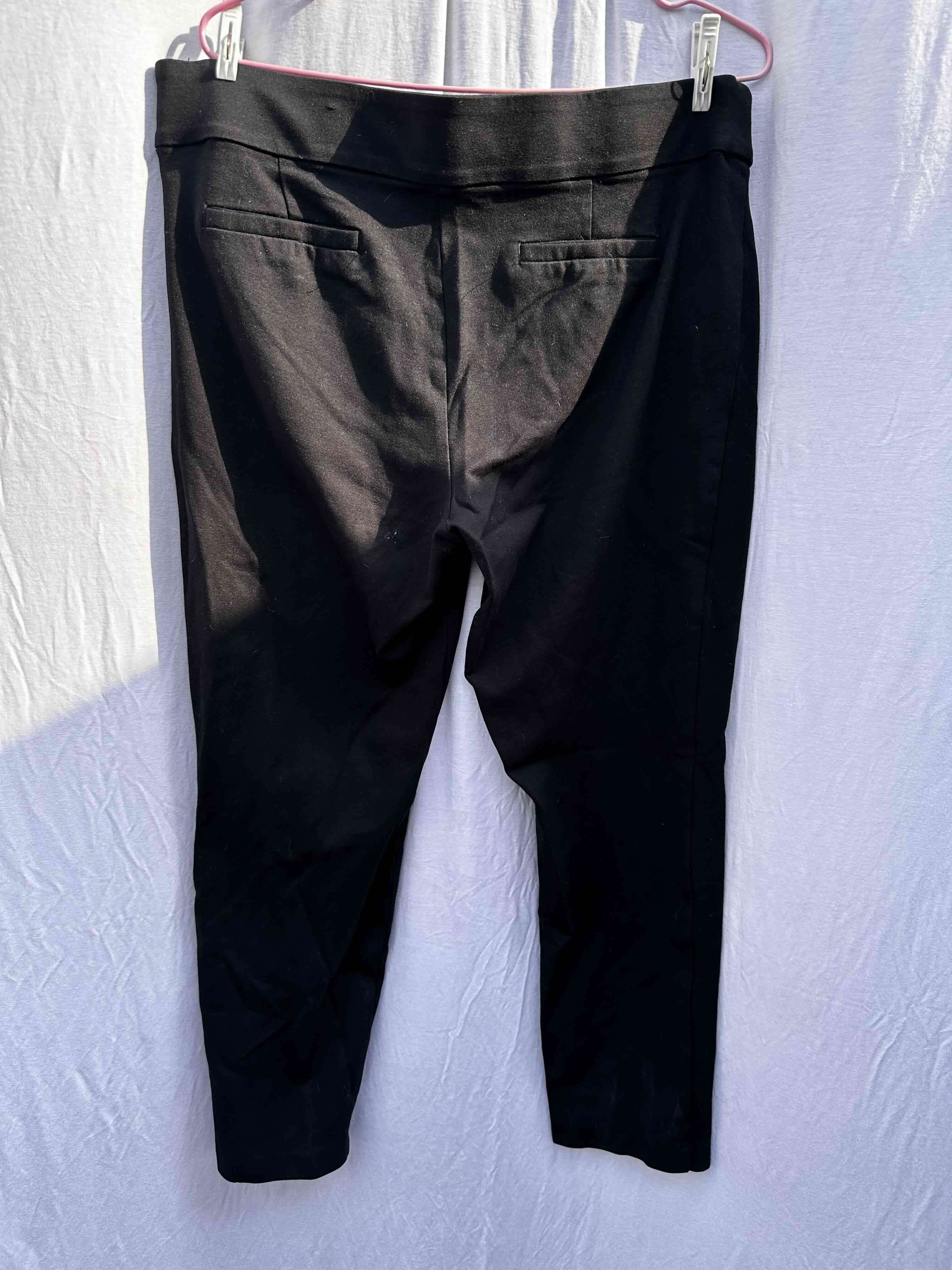 Calza formal Massini -T L- - miniatura 2