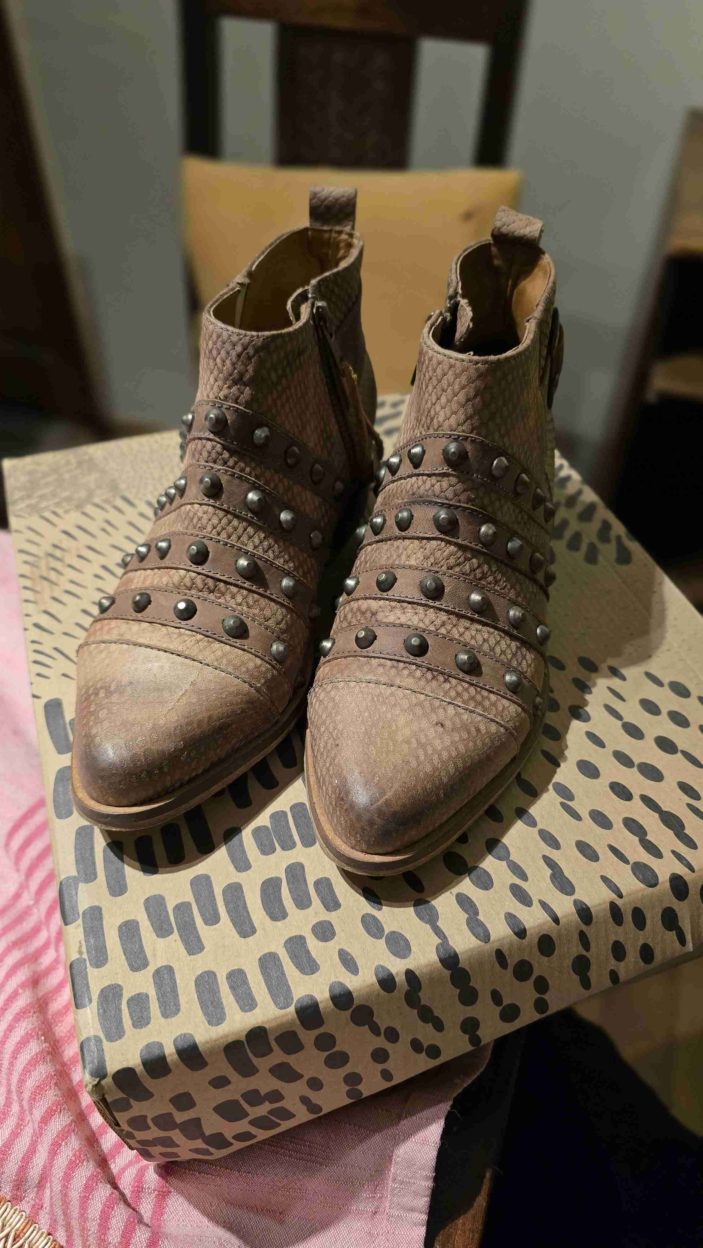 Botines cafe con tachuelas marca Giani Da Firenze - miniatura 5