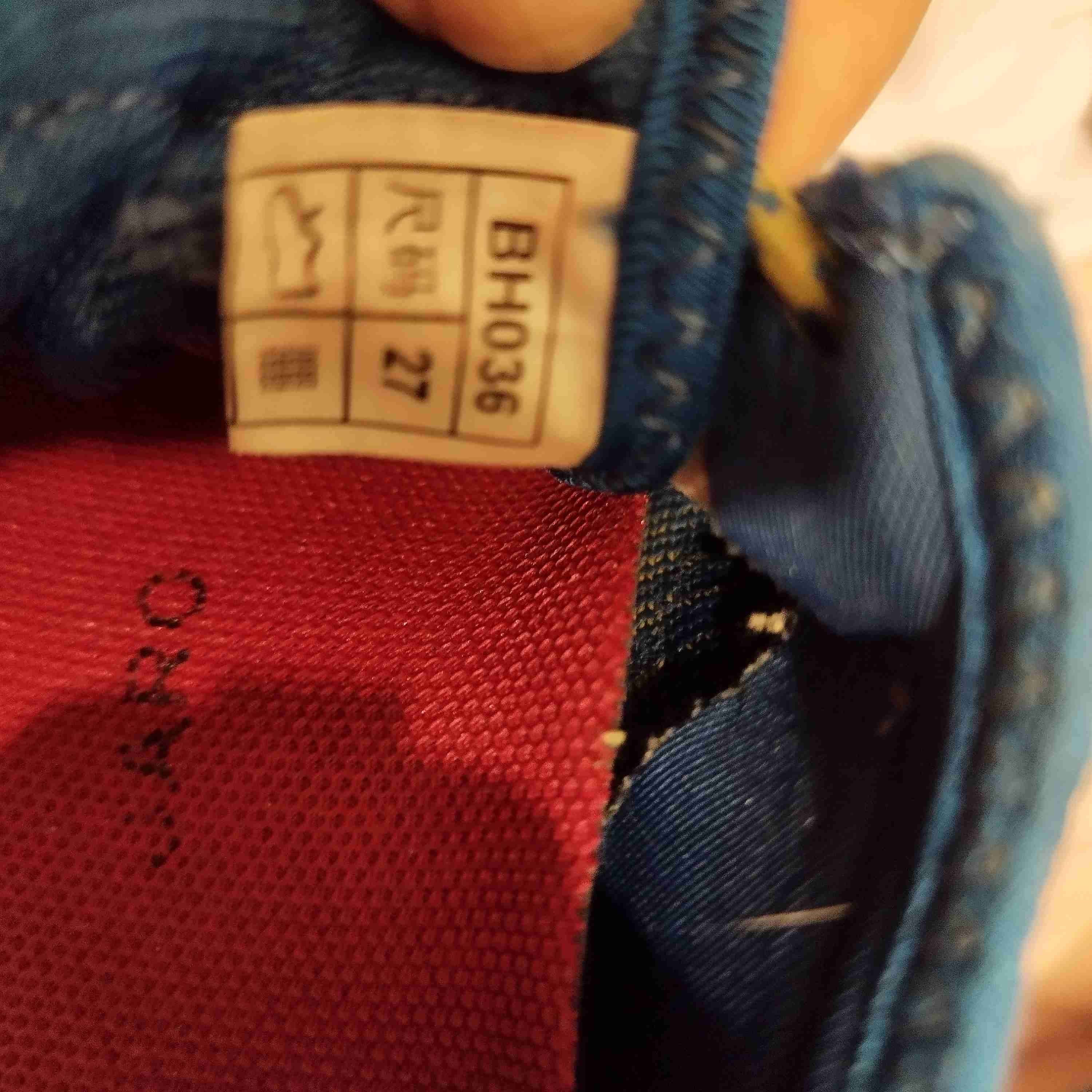 Saguaro talla 27, dos meses de uso - miniatura 4