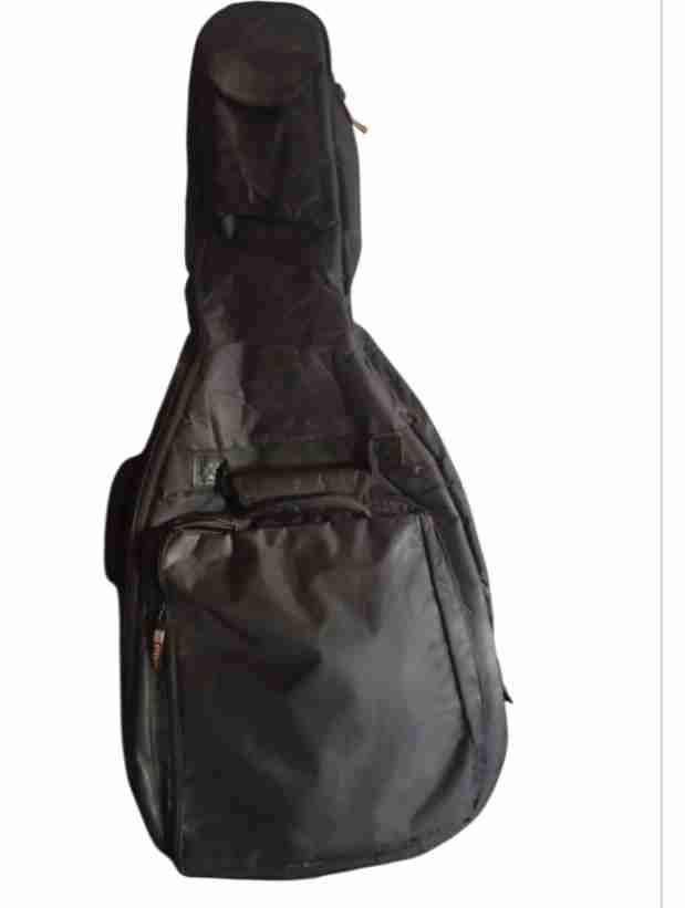 Guitarra electroacústica Freeman - 2