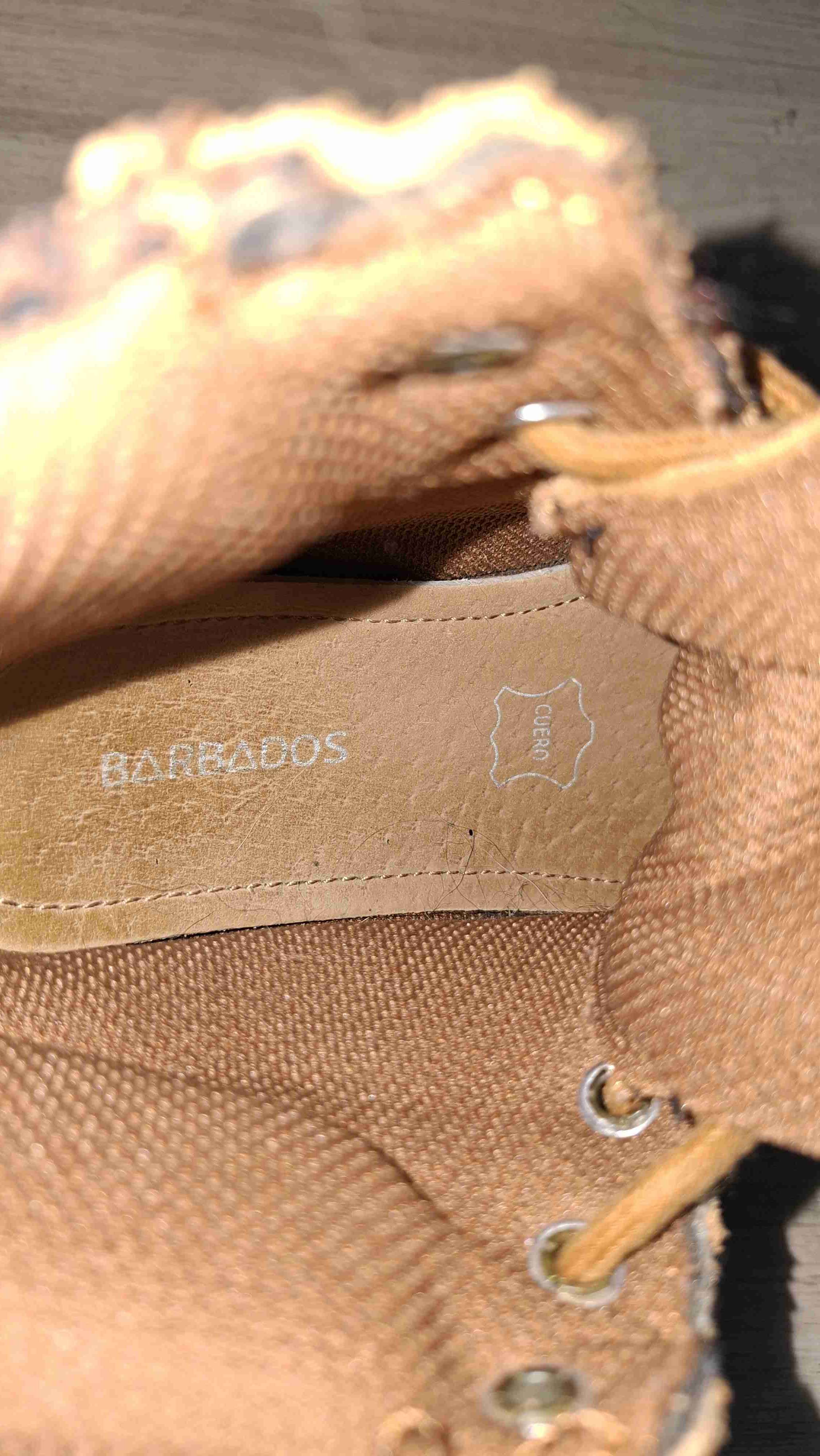 Bototos barbados decafés n°37 - miniatura 4