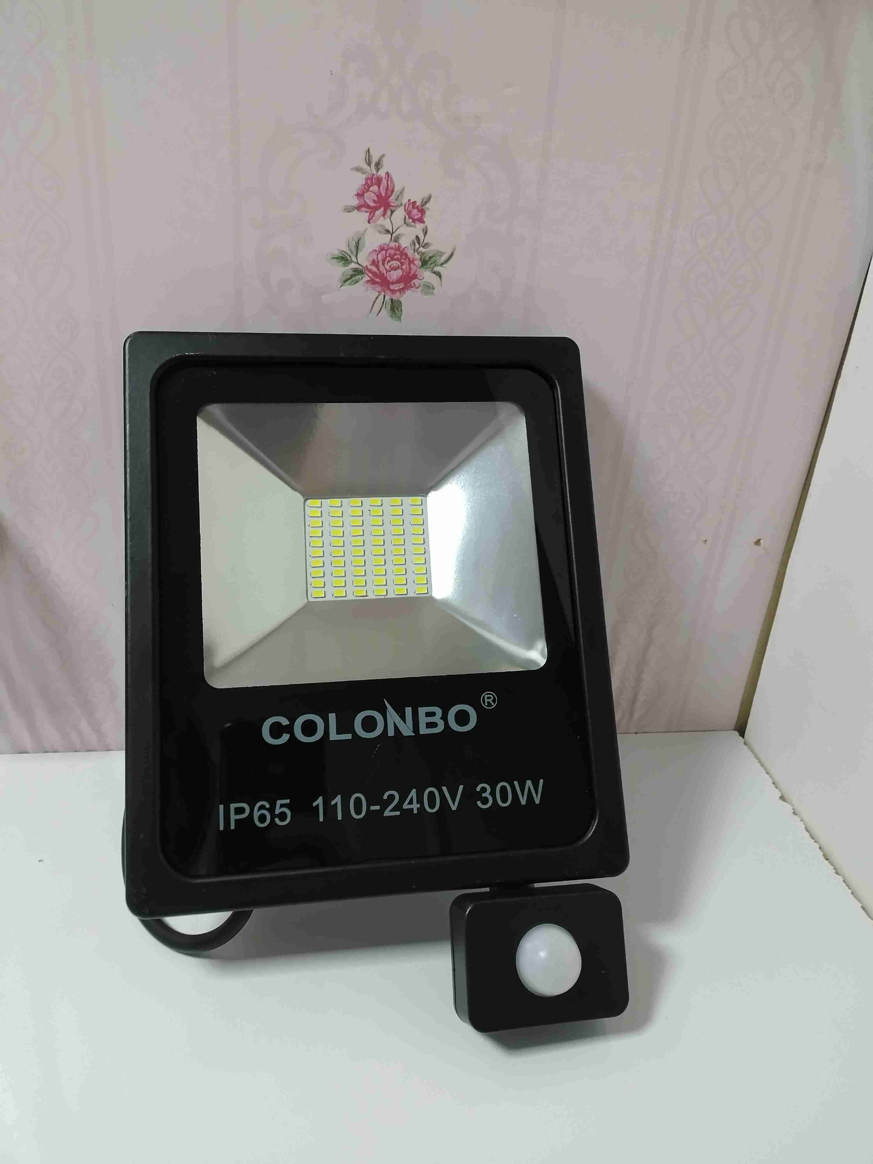 Reflector LED 30W IP65 - miniatura 3