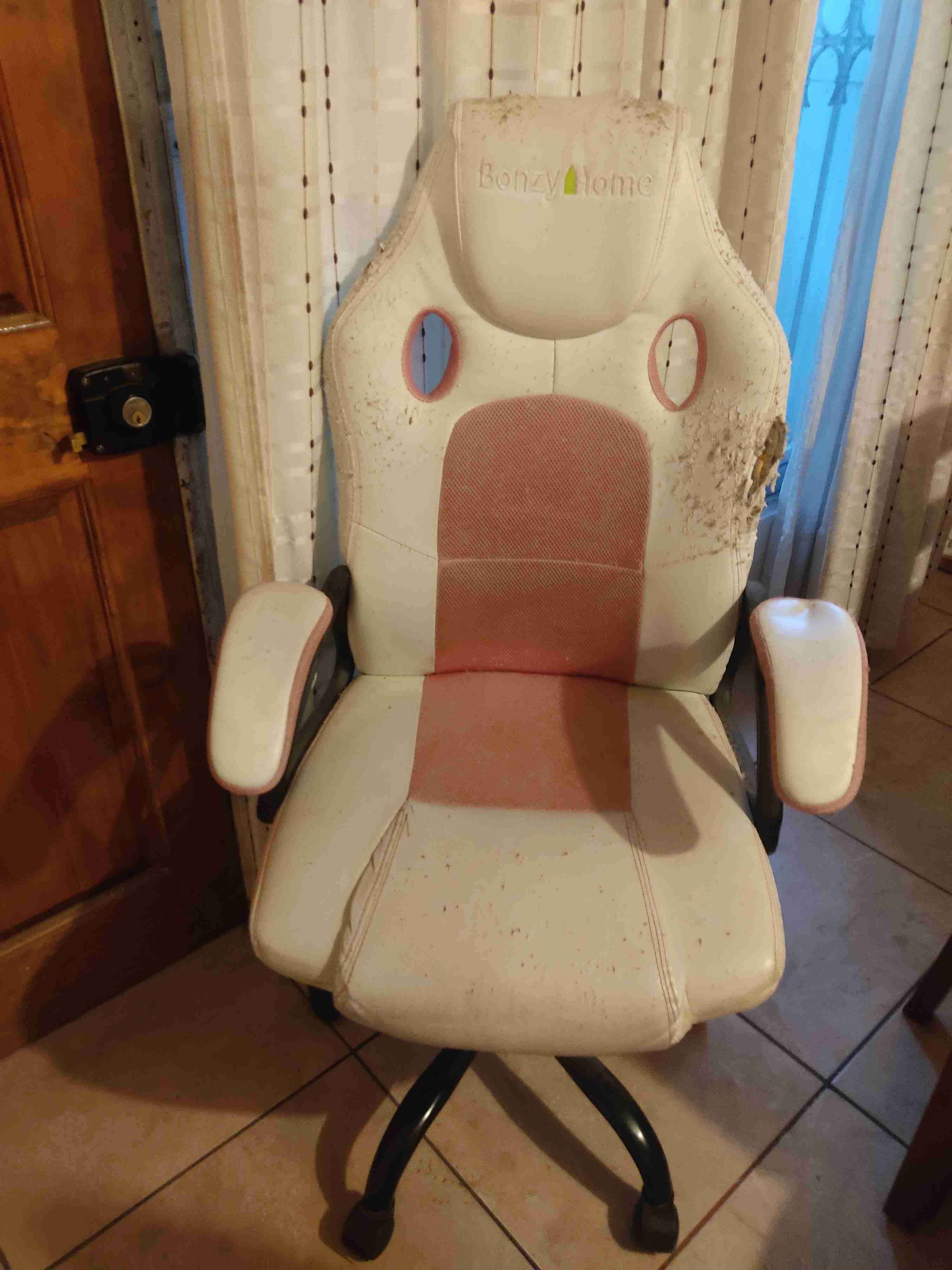 Silla gamer Bonzy Home desgastada - miniatura 1