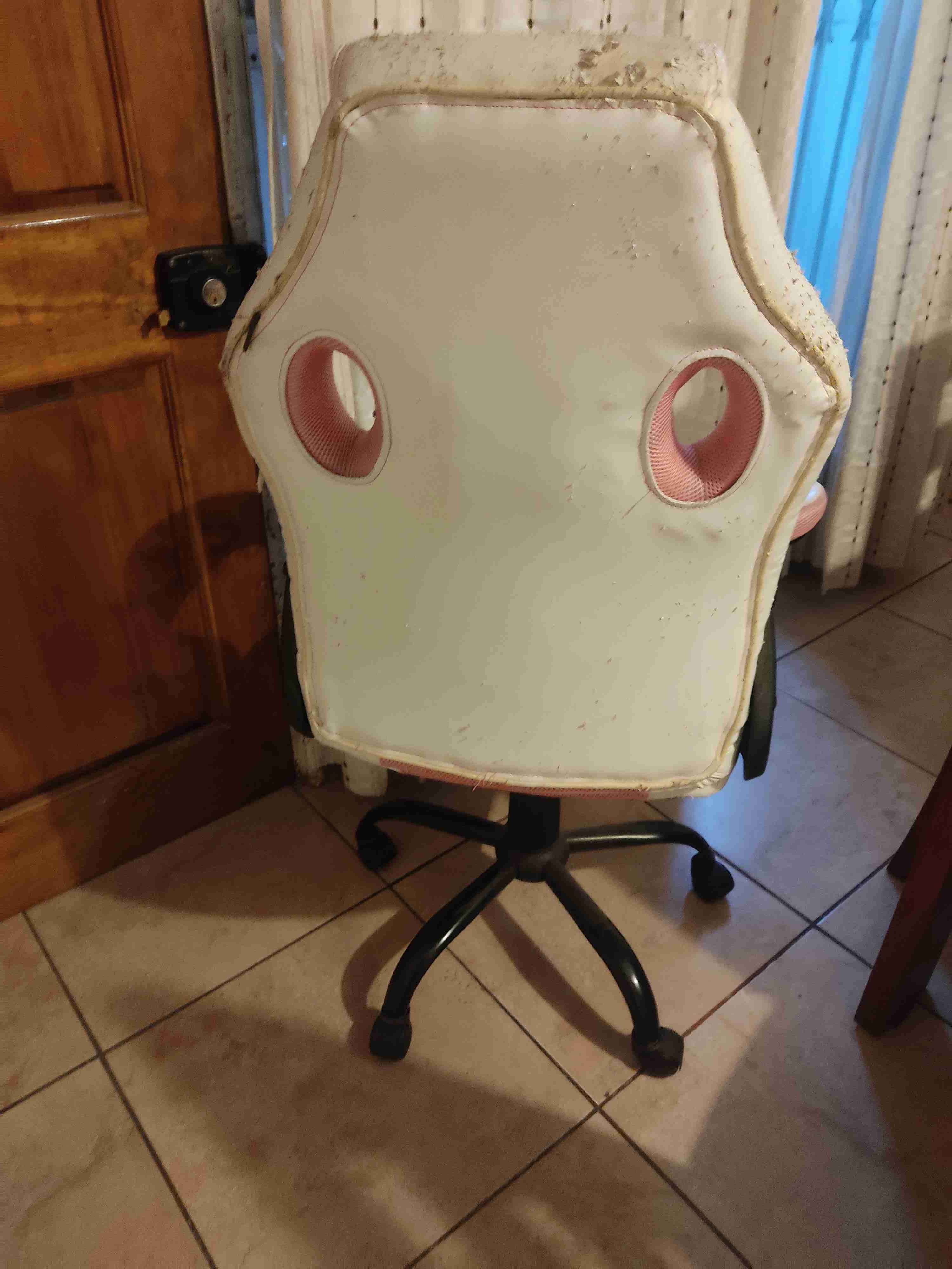 Silla gamer Bonzy Home desgastada - miniatura 2