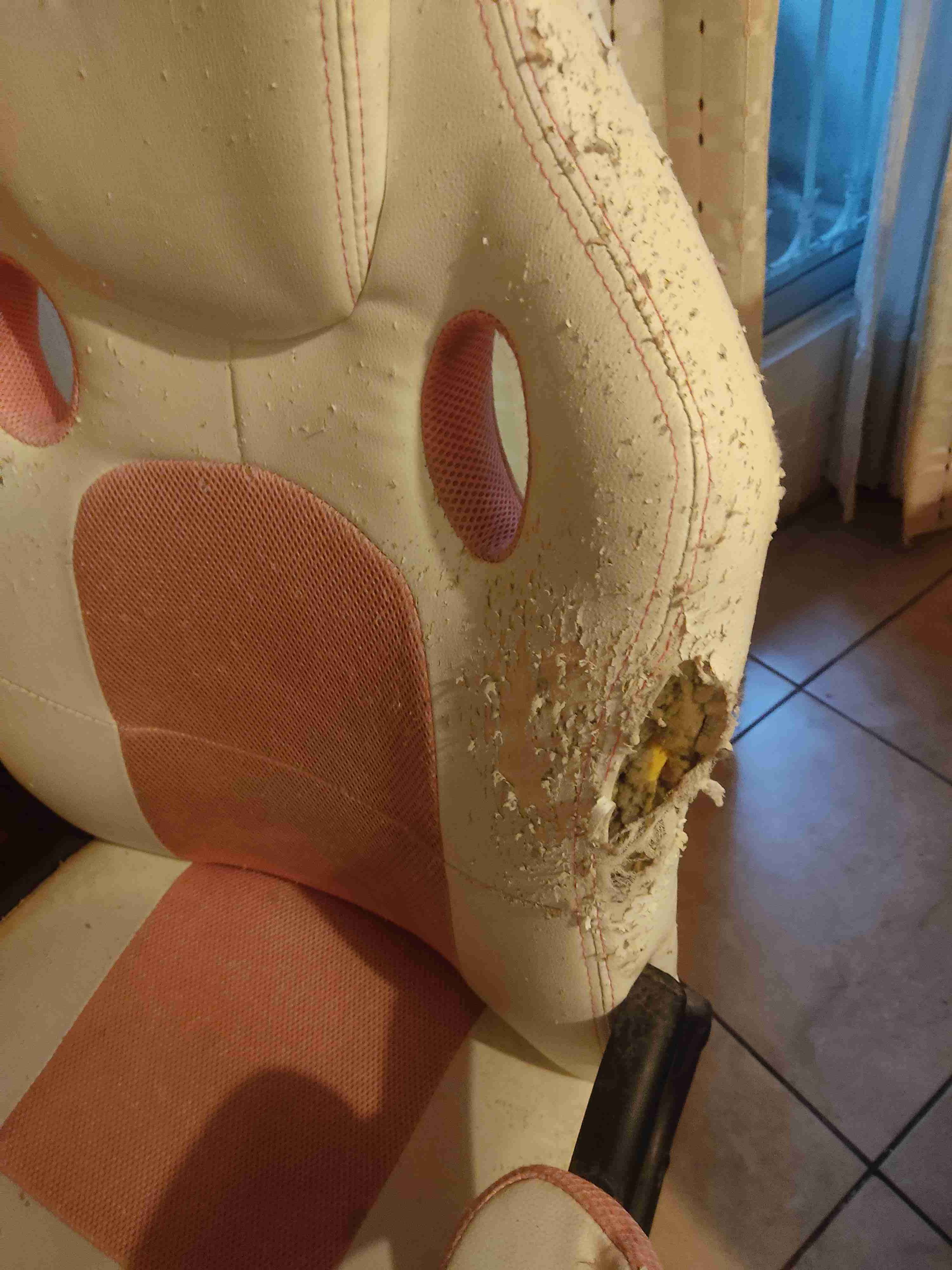 Silla gamer Bonzy Home desgastada - miniatura 4