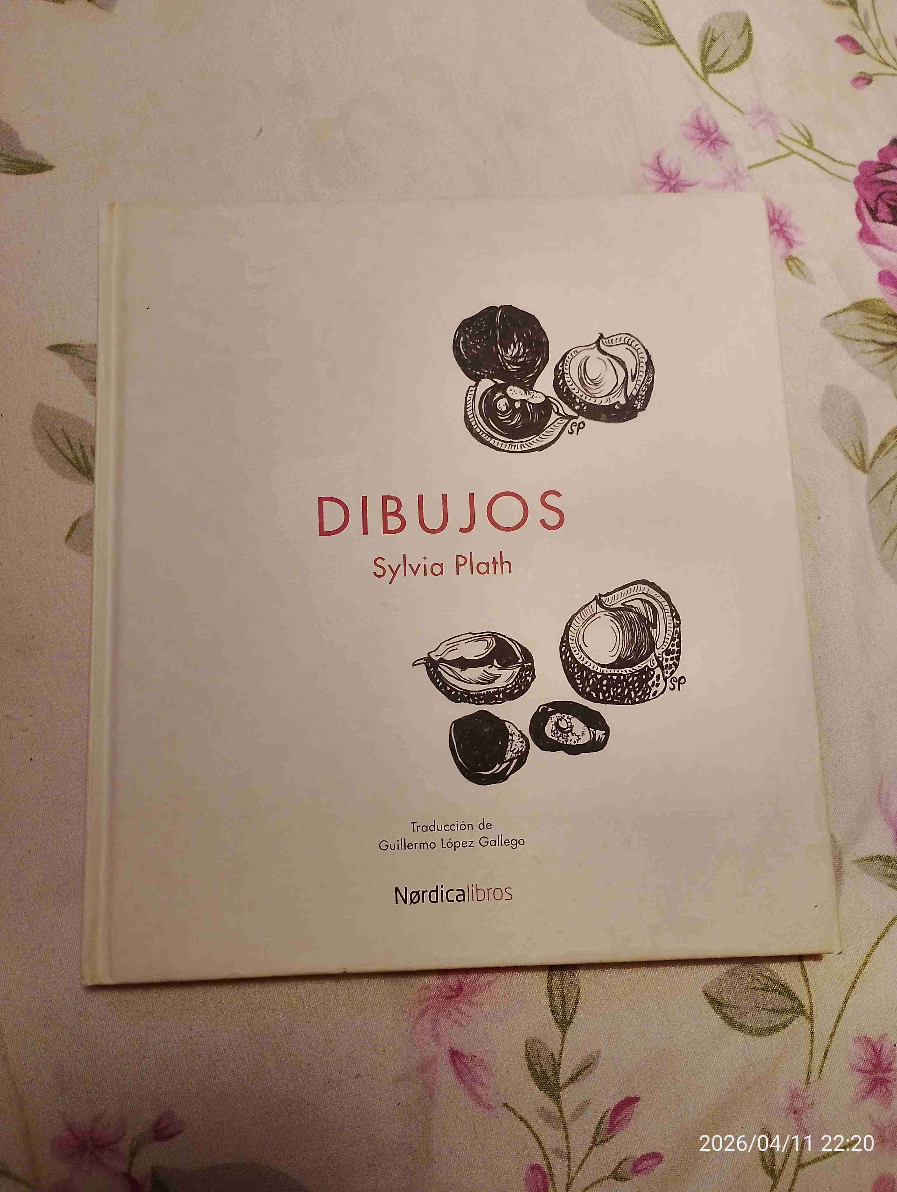 Libro Dibujos de Sylvia Plath