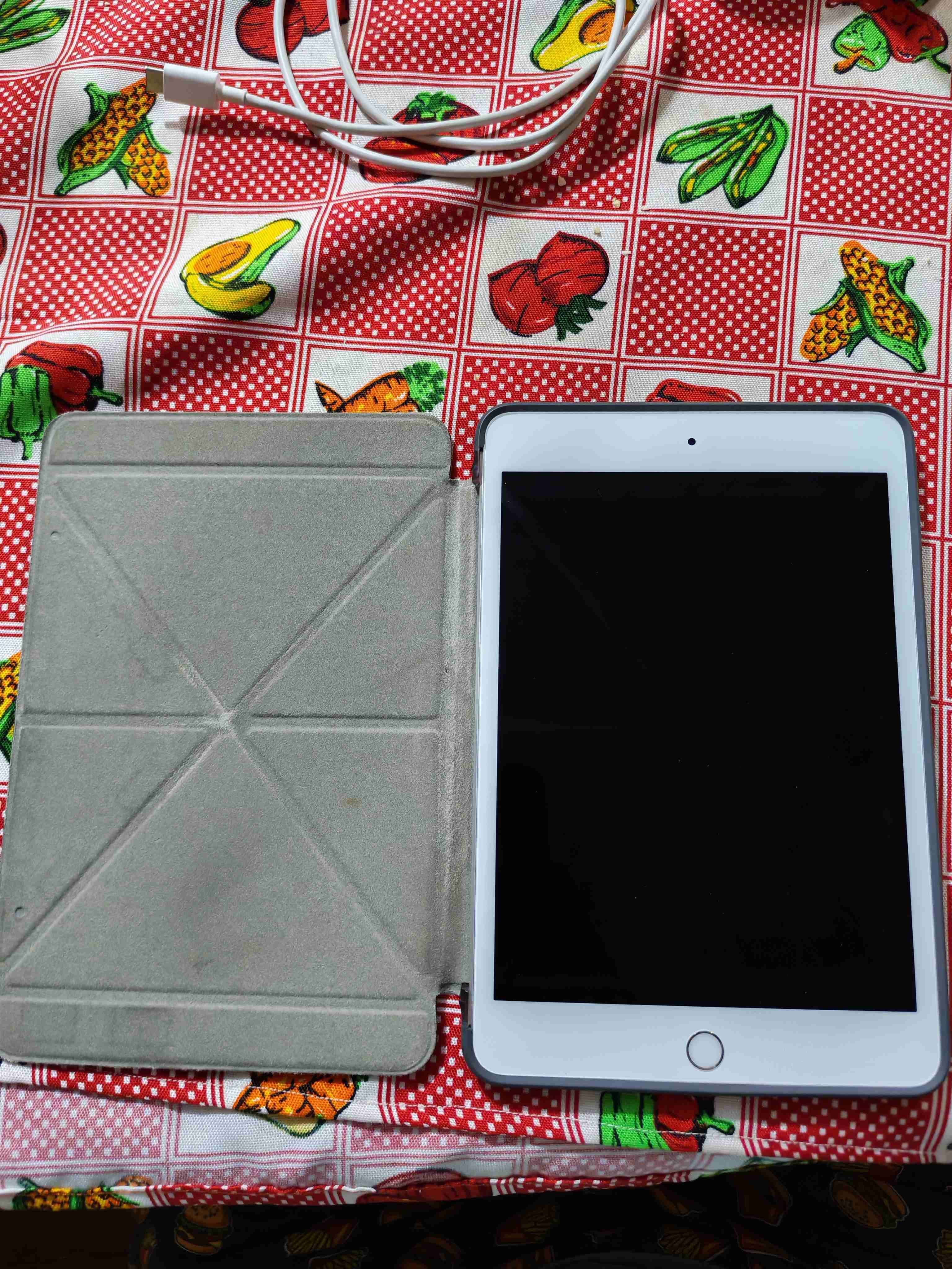 Ipad mini 5ta generación 64 gb - miniatura 1