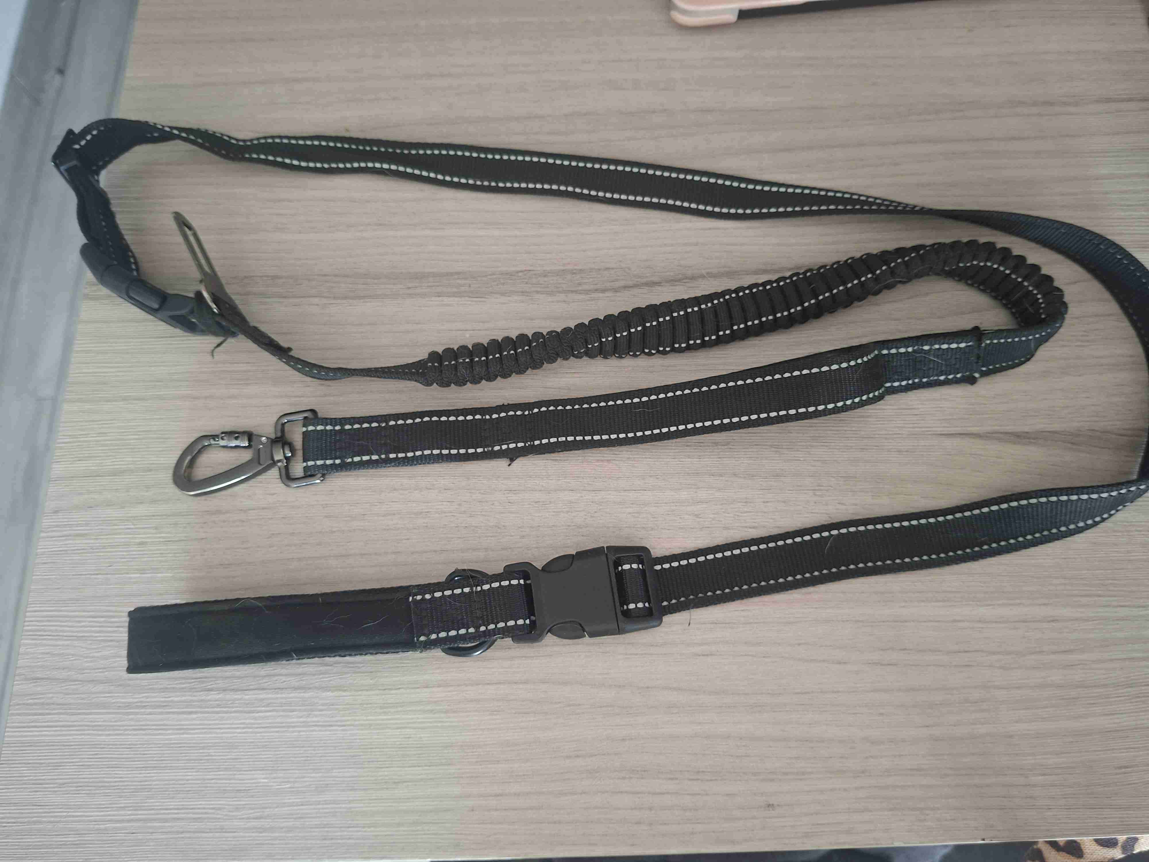 Correa elástica para perros negra