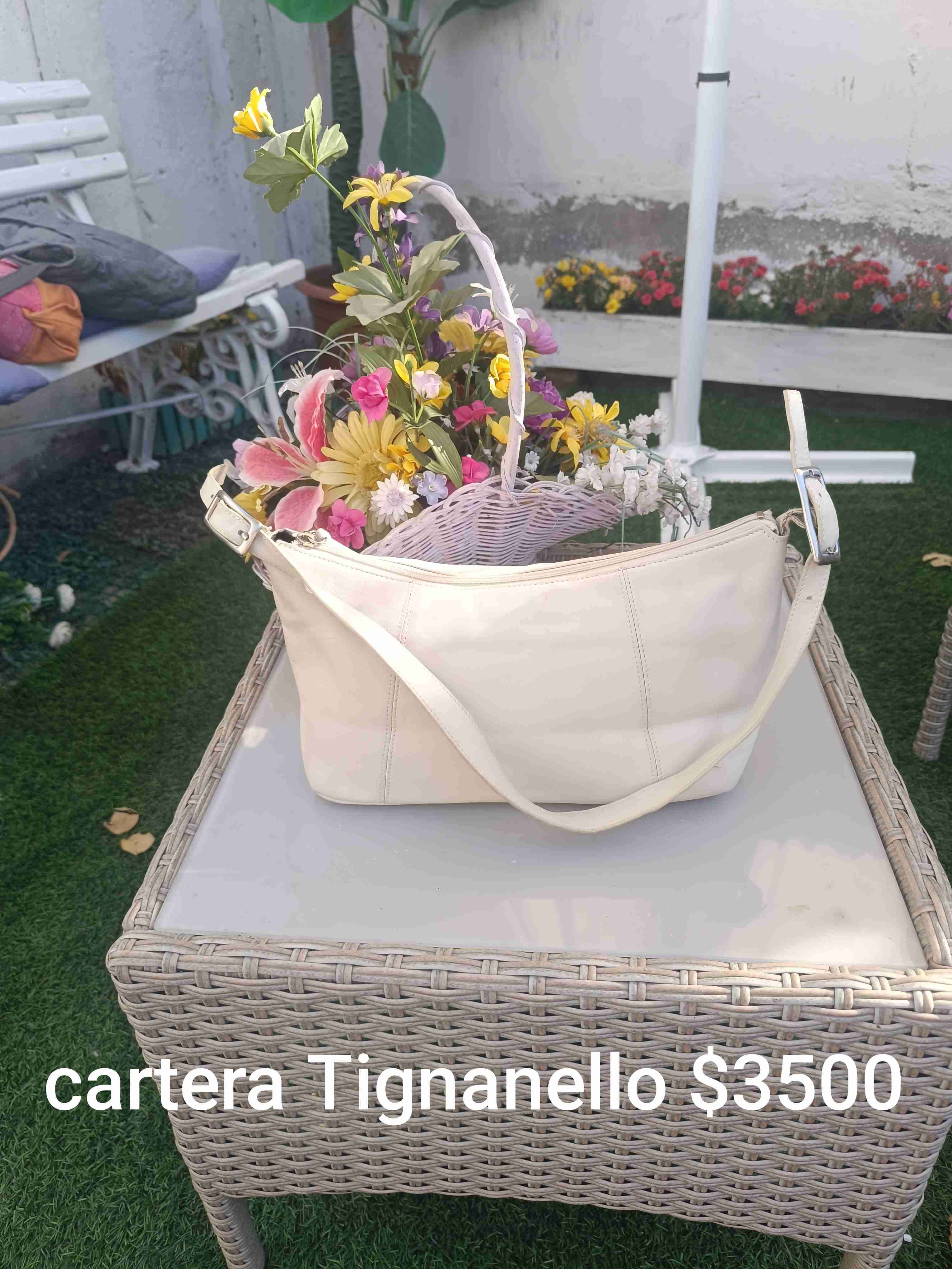 Cartera Tignanello blanca