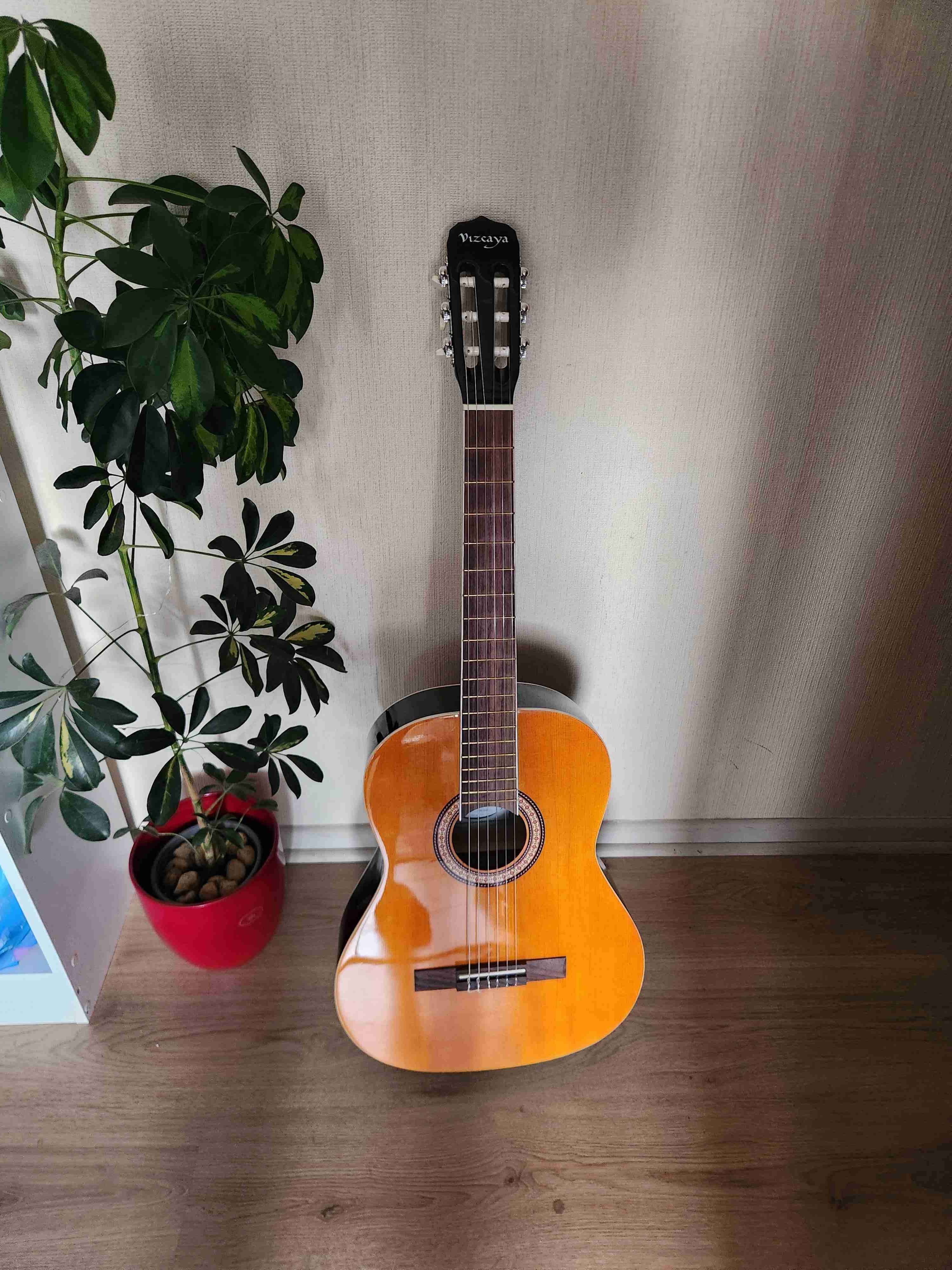 Guitarra acústica clásica - miniatura 3