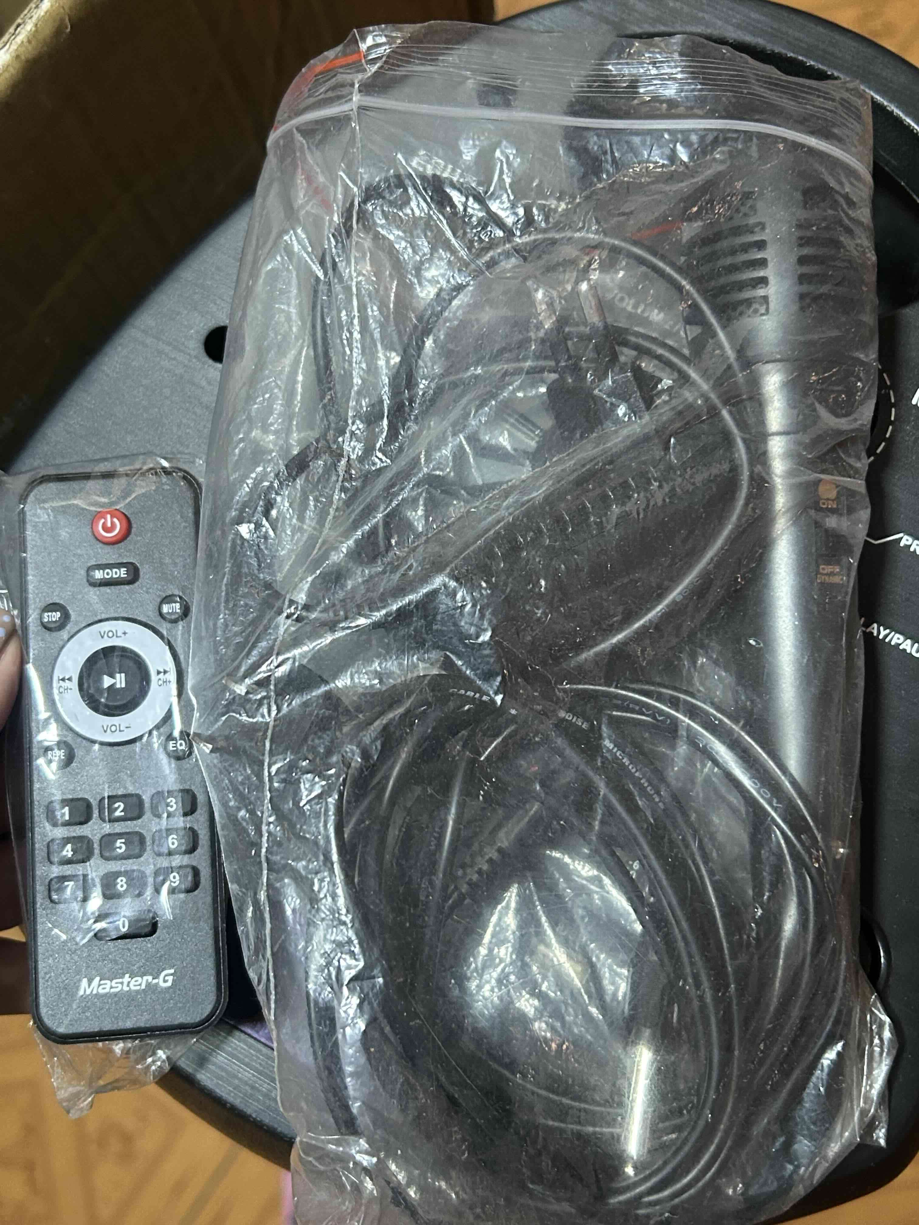 Parlante karaoke Master G 8" - 3