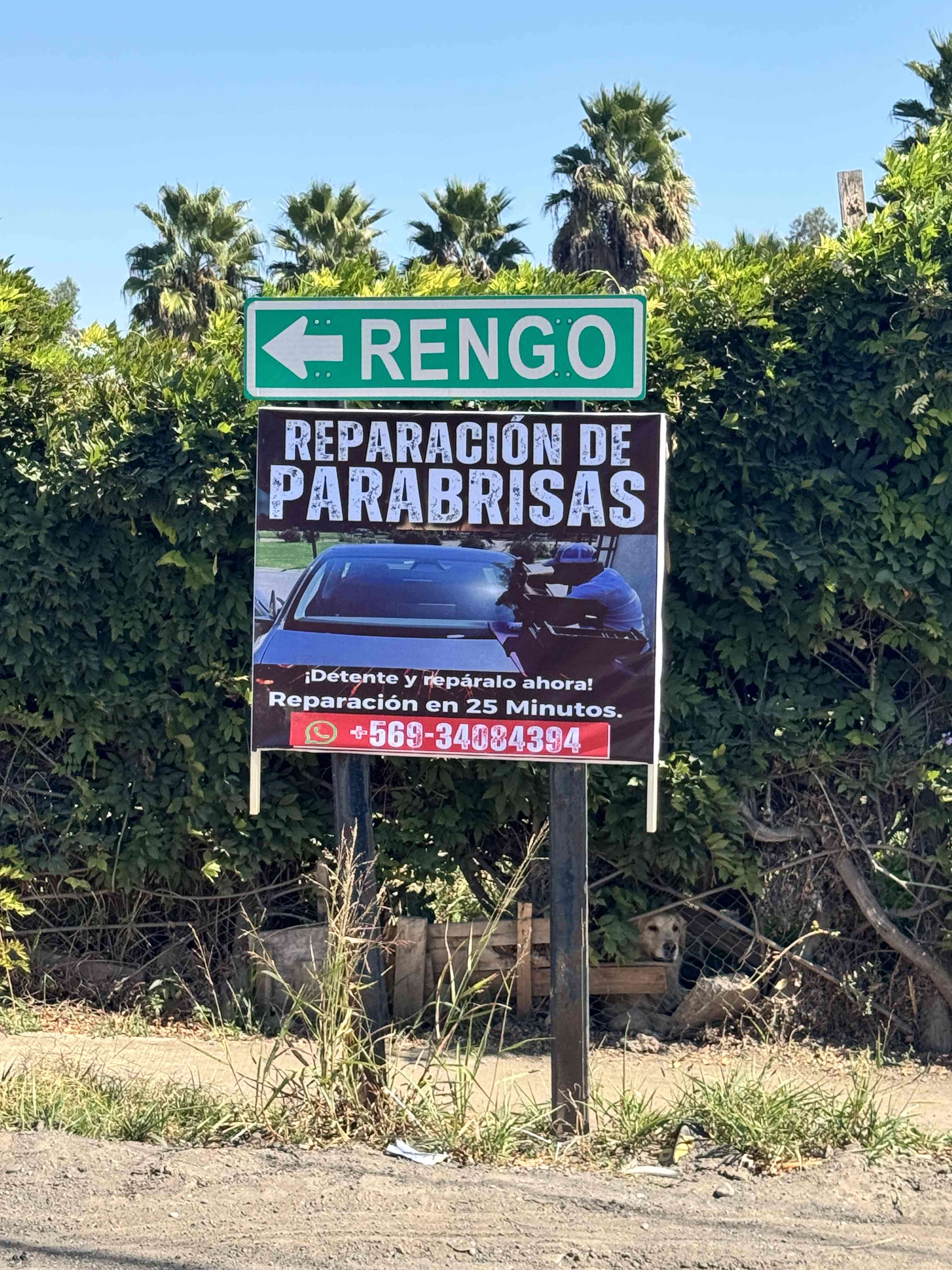 Servicio de reparación de parabrisas - miniatura 6