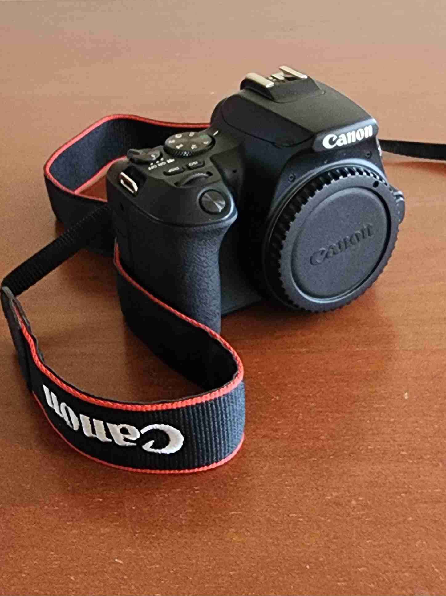 Cámara Canon EOS Rebel SL3 con accesorios - miniatura 2