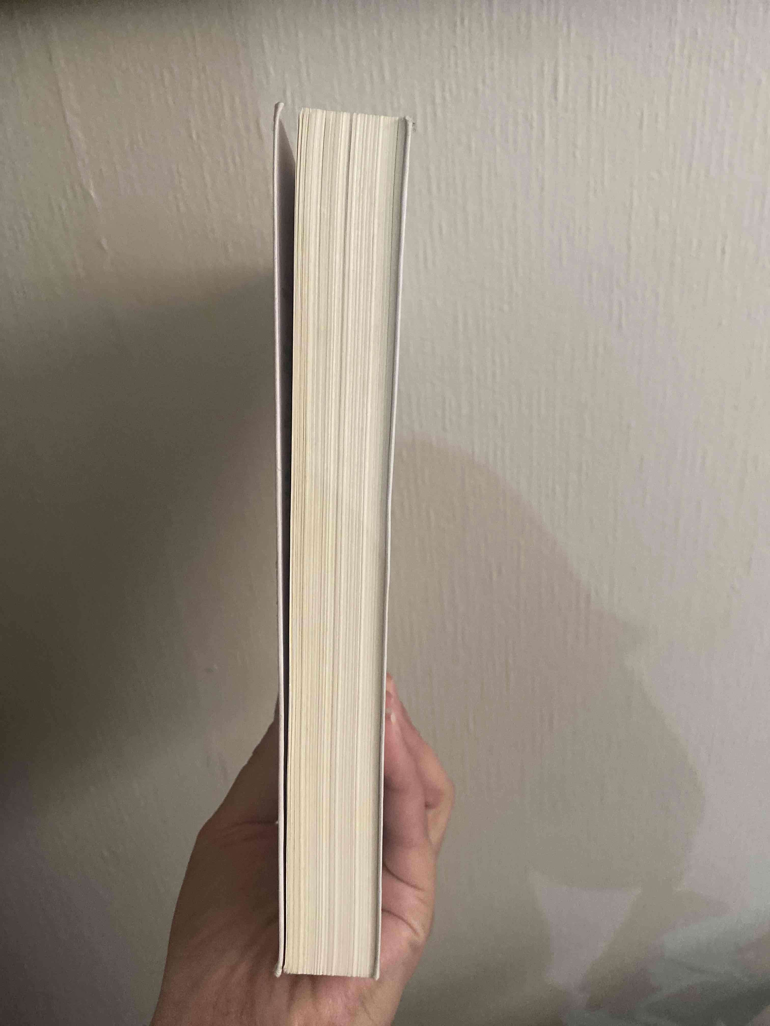 Libro 'A través de mi ventana' - miniatura 2