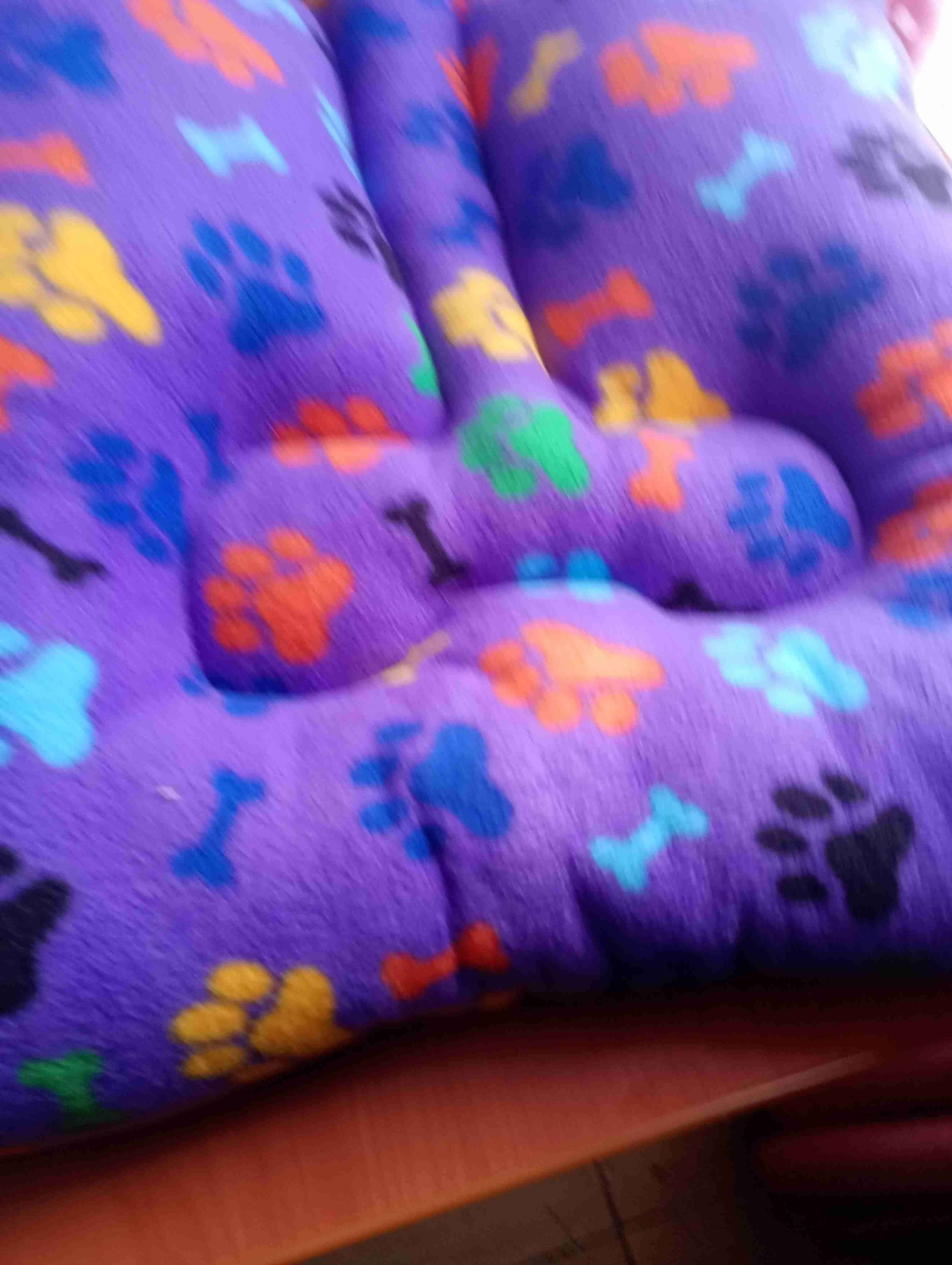 Cojines para mascotas estampados - miniatura 6