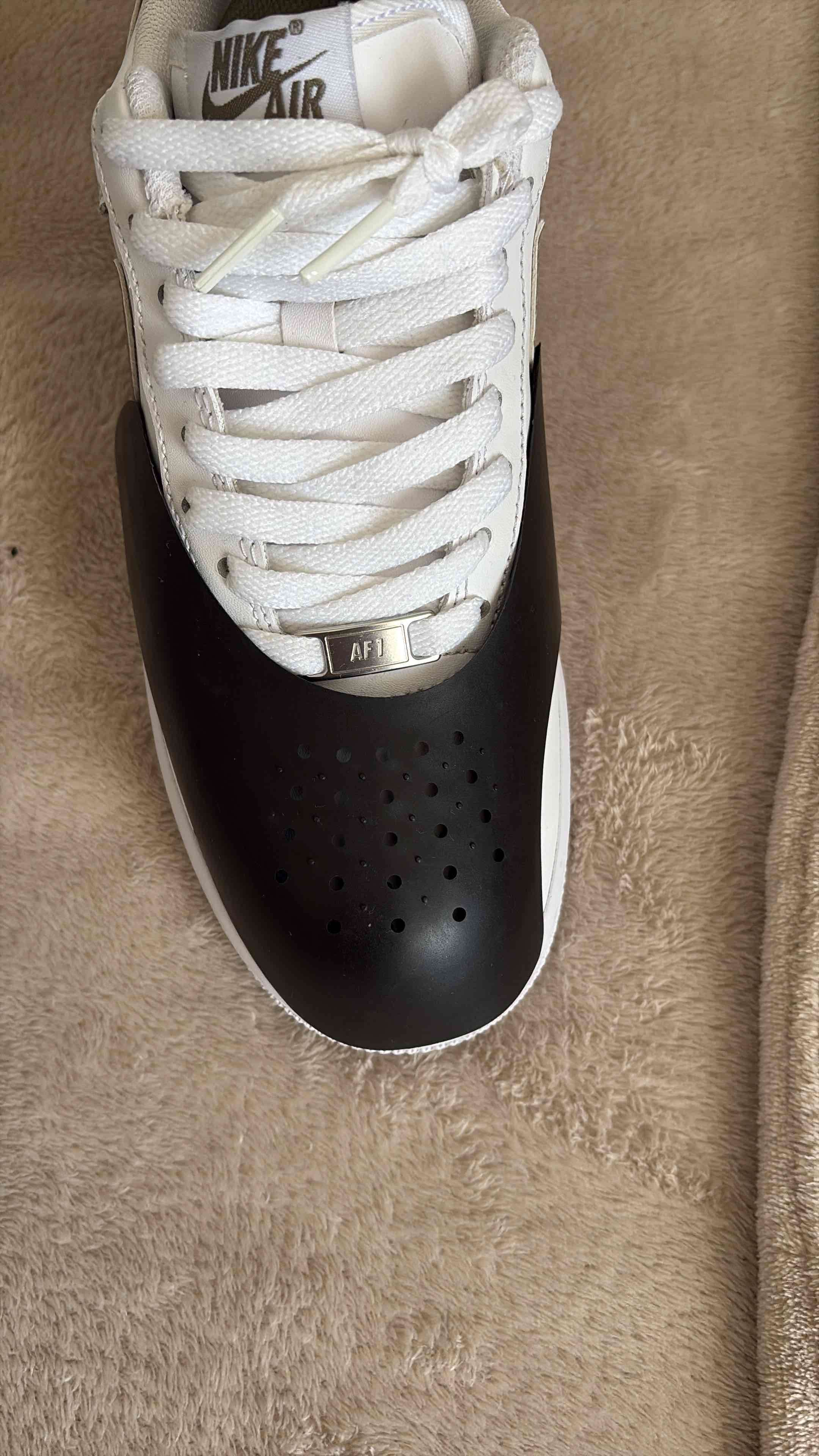 Shields y Hormadores - miniatura 3