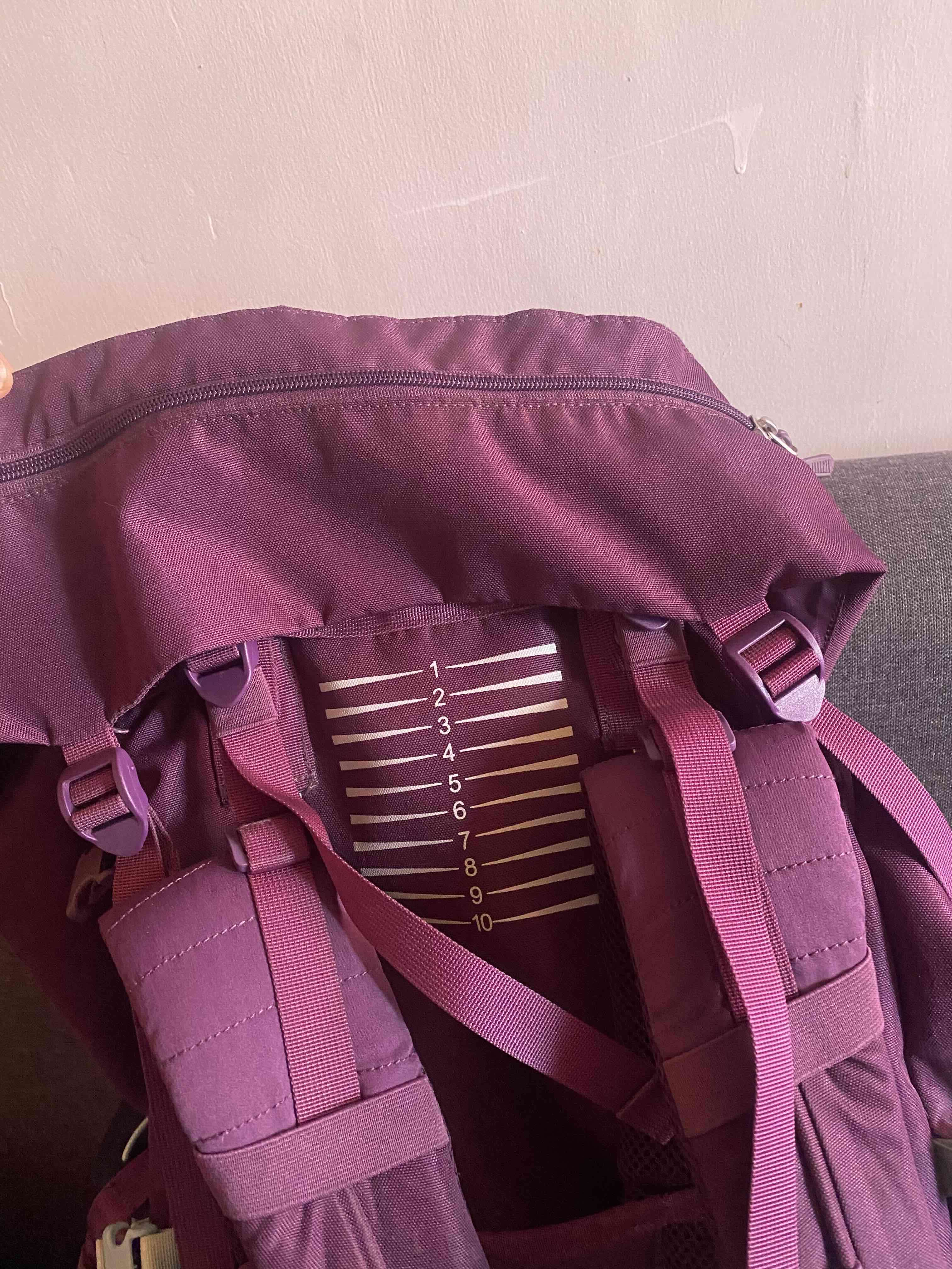 Mochila morada lippi 65L - miniatura 4