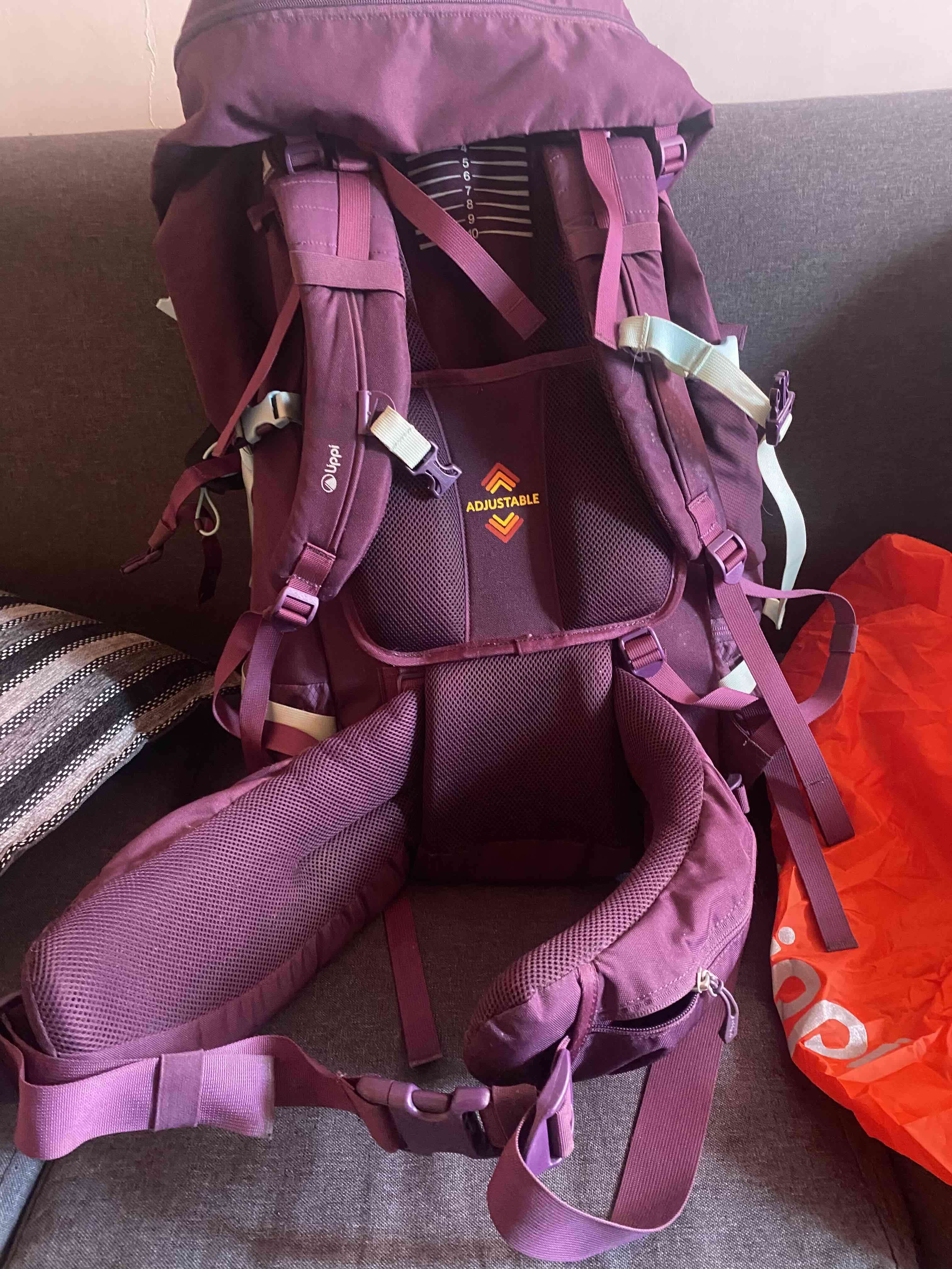 Mochila morada lippi 65L - miniatura 5