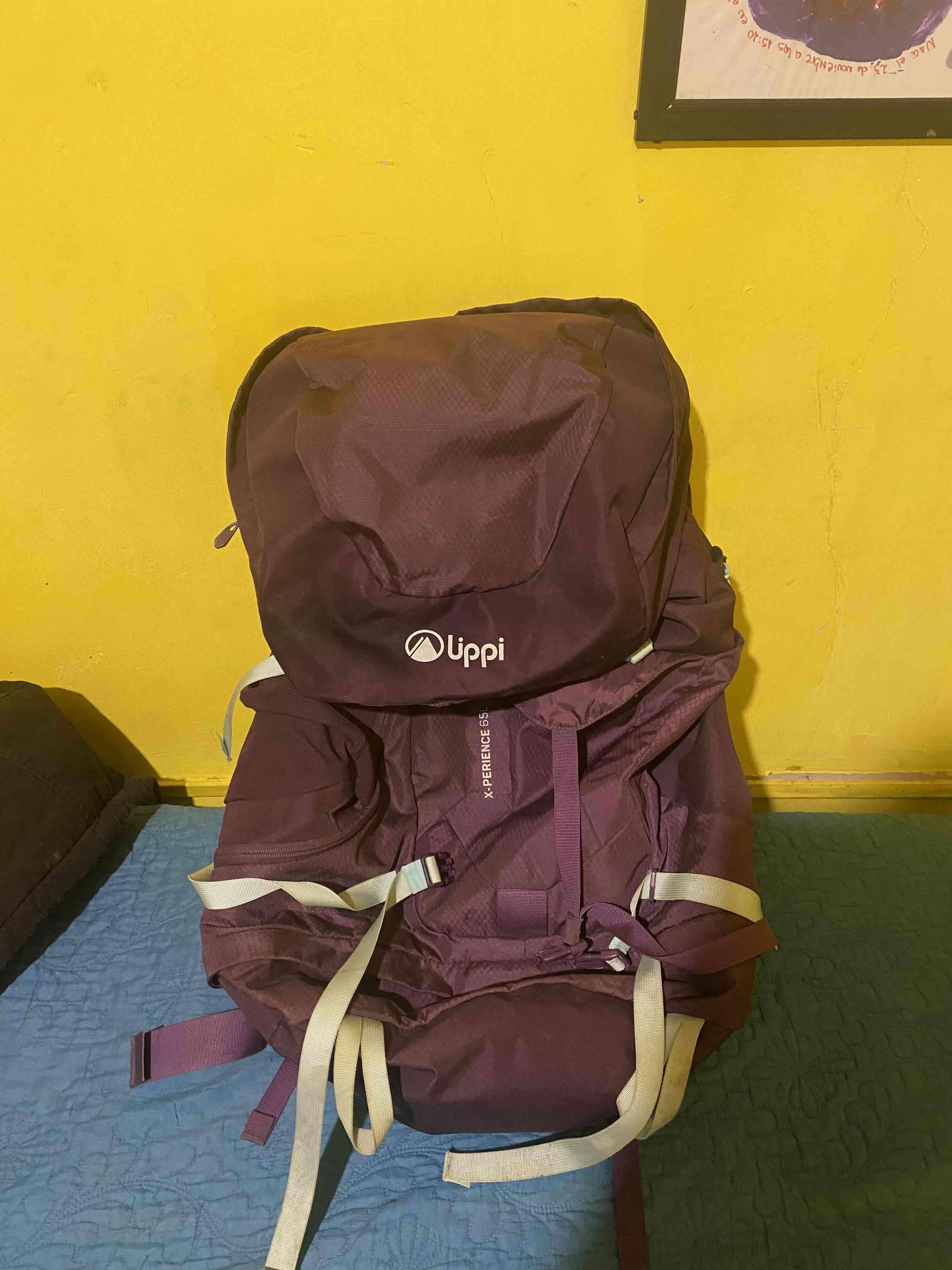 Mochila morada lippi 65L - miniatura 6