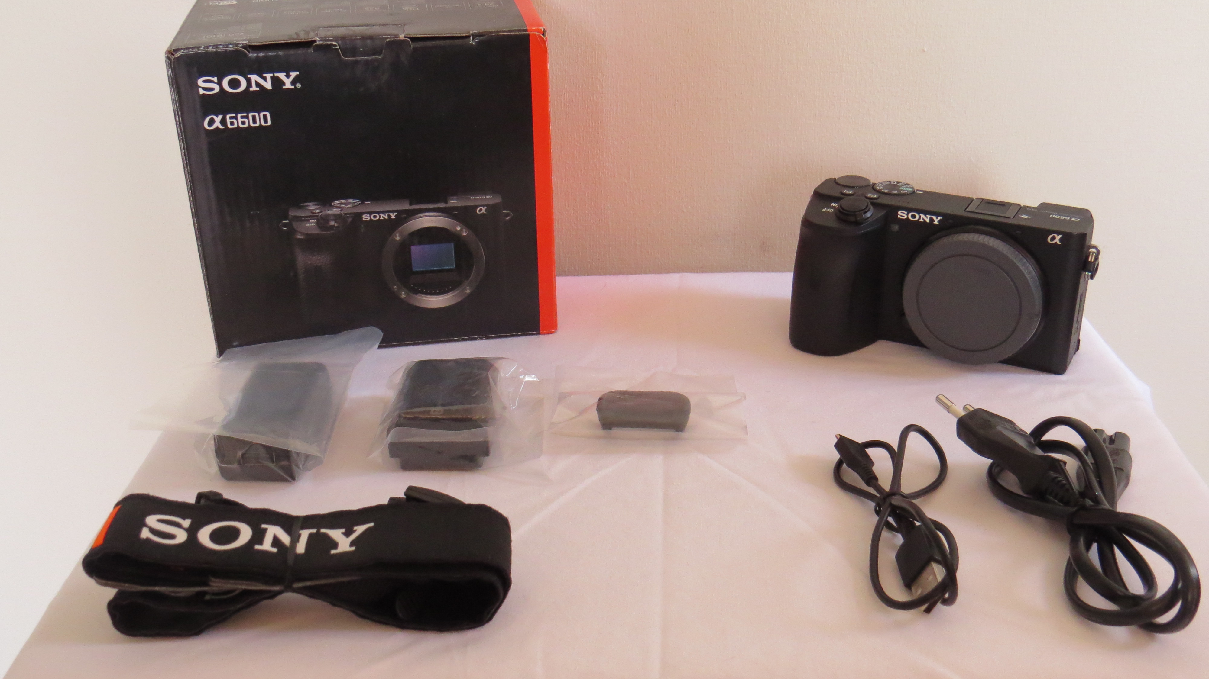 SONY A6600 - miniatura 4