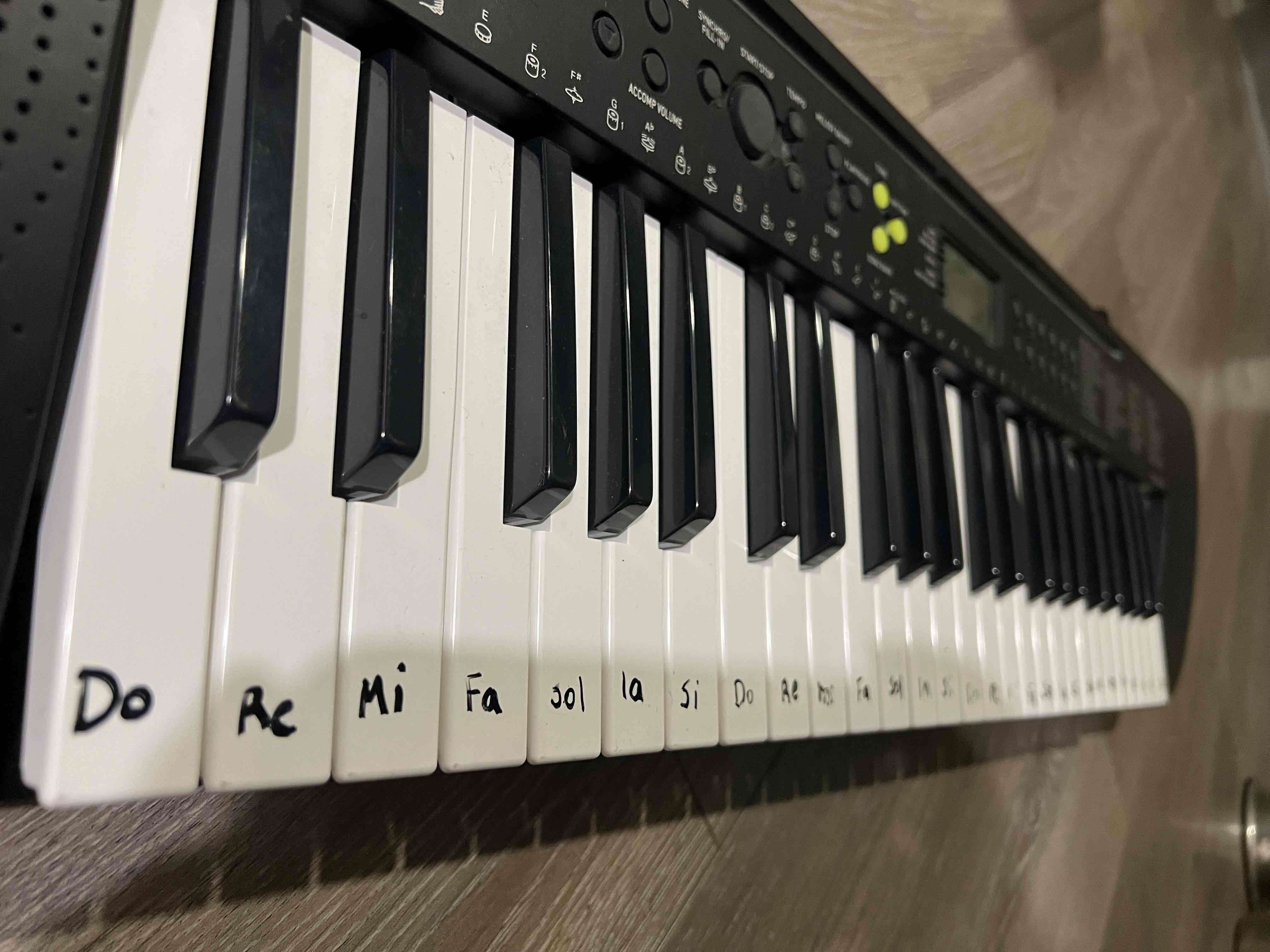 Teclado Casio CTK-245 - miniatura 4